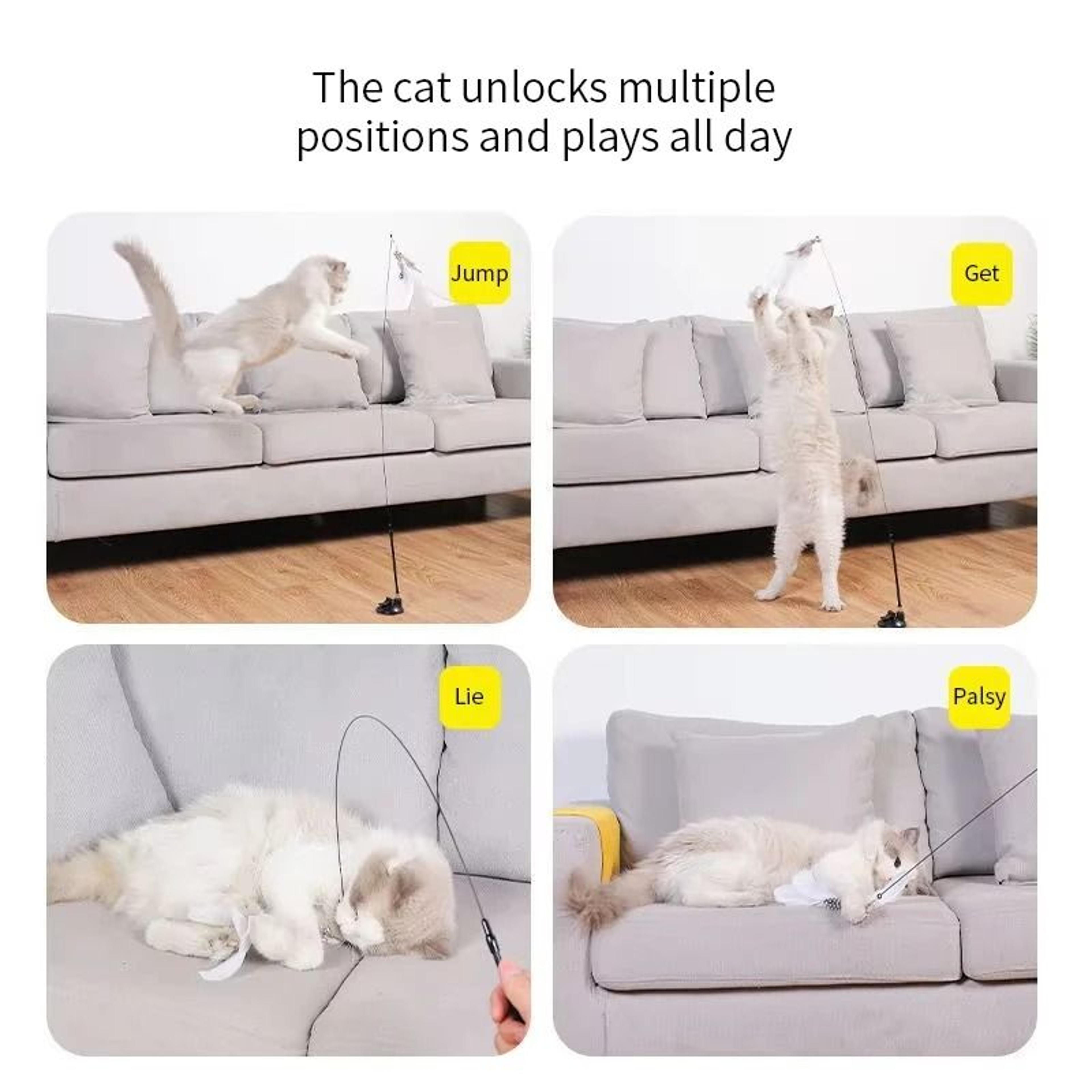 HandsFree Interactive Suction Cup Cat Wand 3