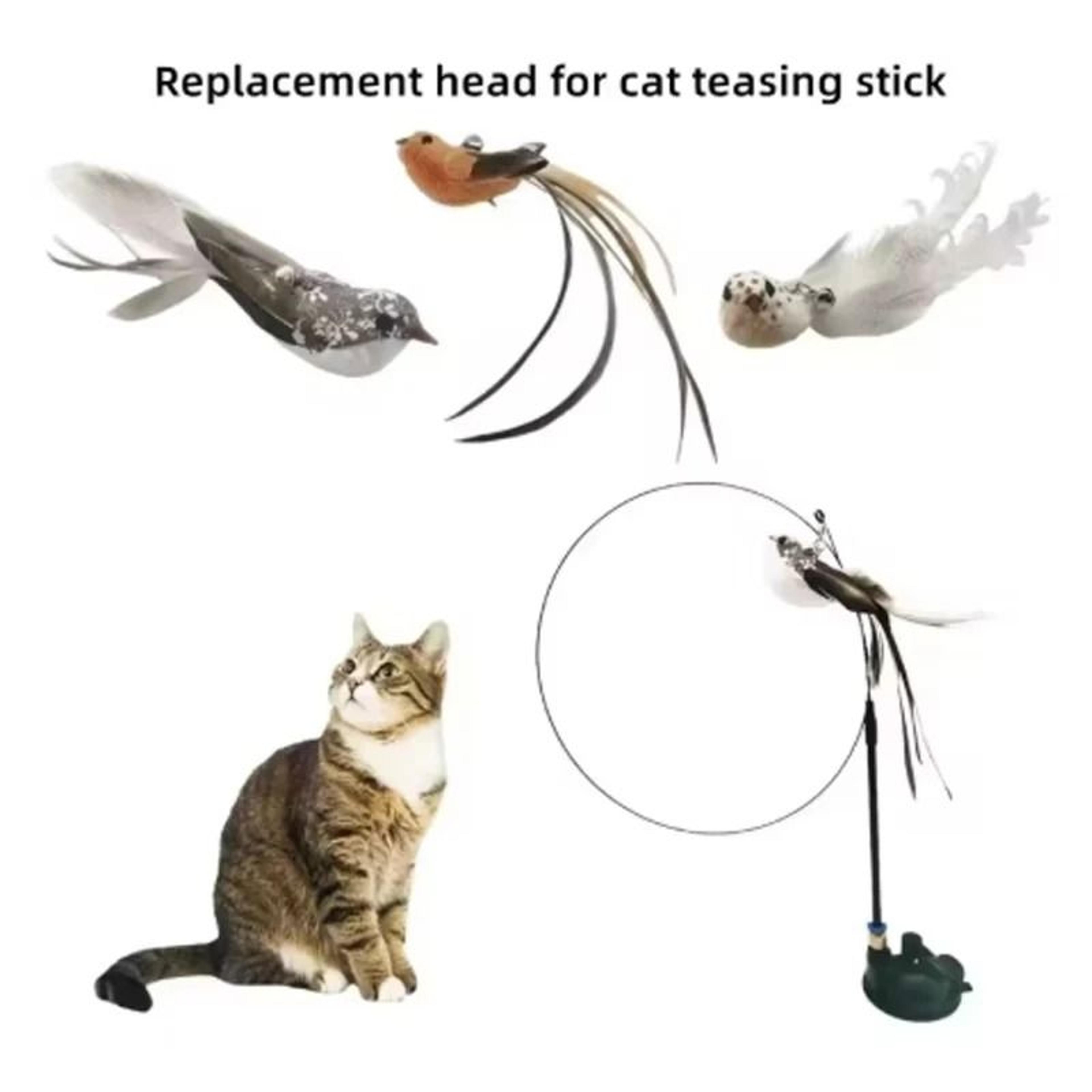 Interactive Bird  Feather Suction Cup Teaser Set 2