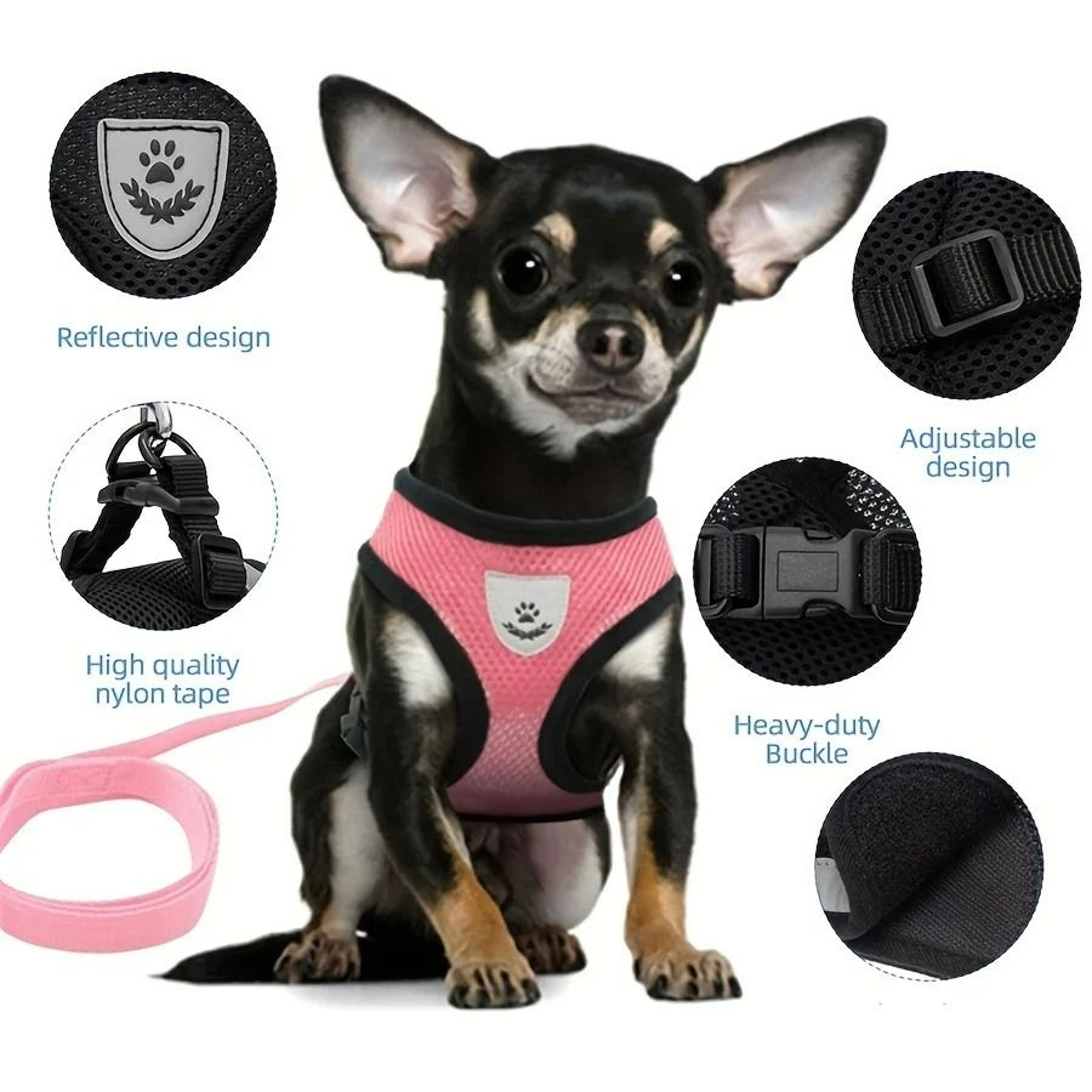 EscapeProof Breathable Mesh Cat Harness  Leash Set 3