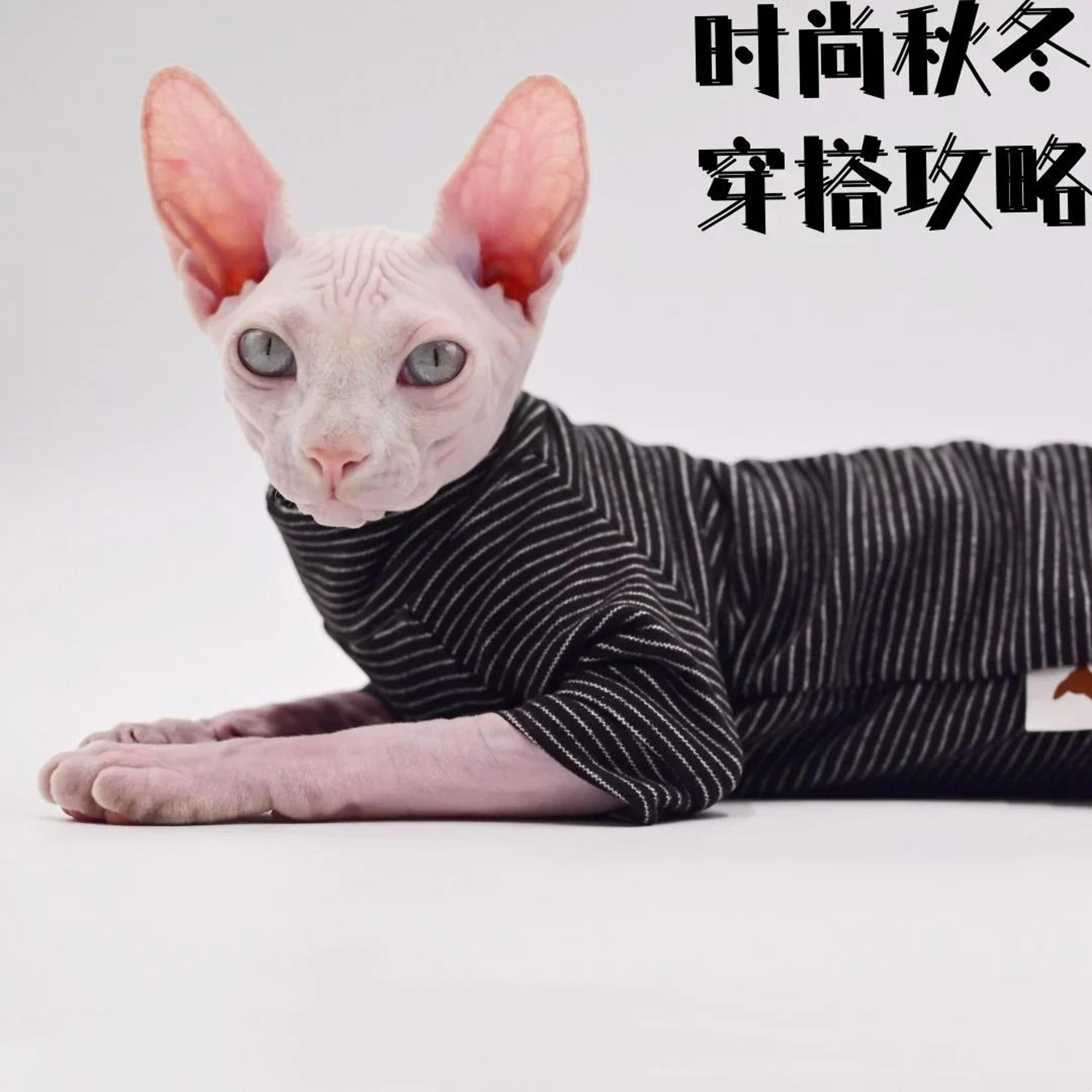 Cozy FourLegged Thermal Jacket For Hairless Breeds 4