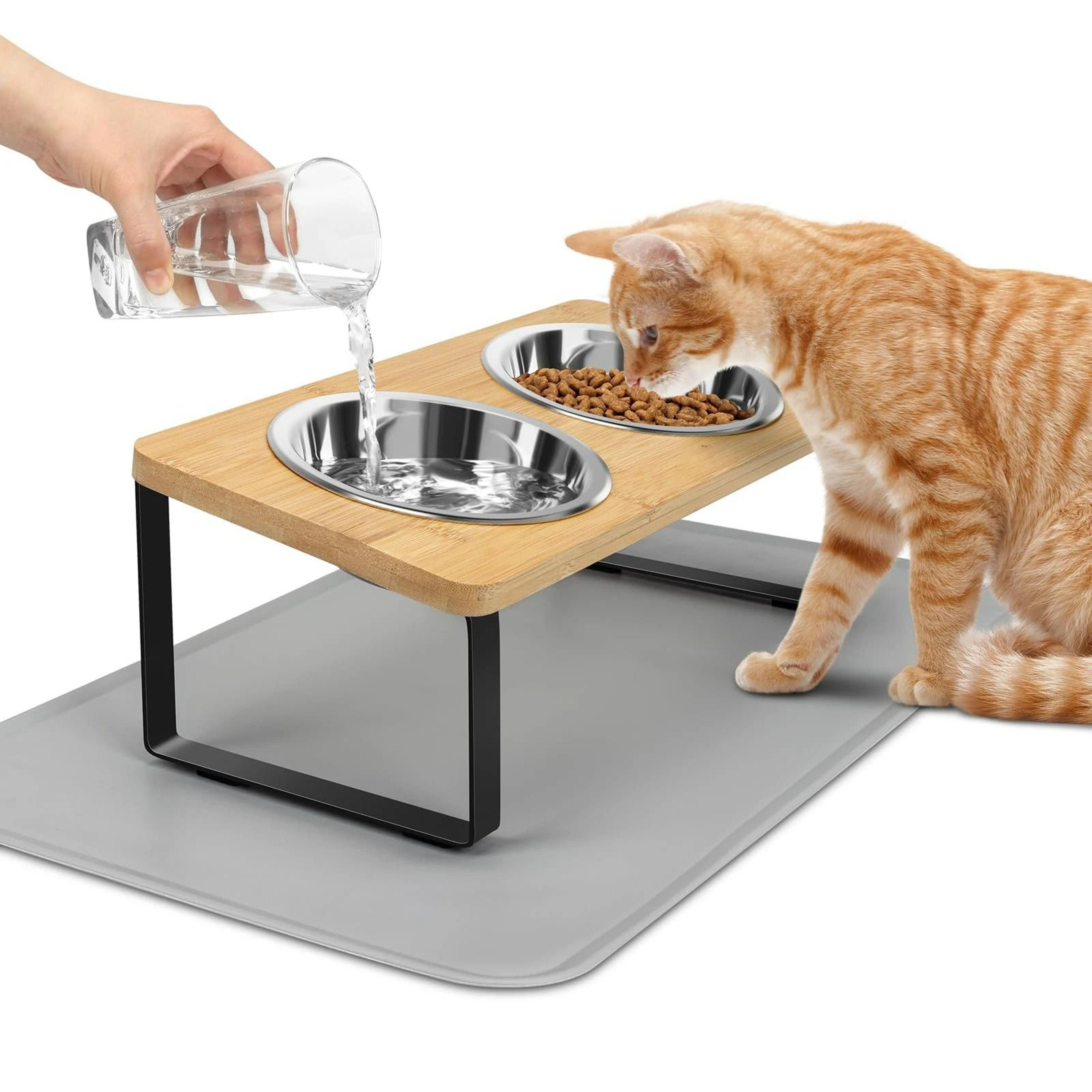 Elevated 15 Tilted Stainless Steel Double Pet Feeder 1