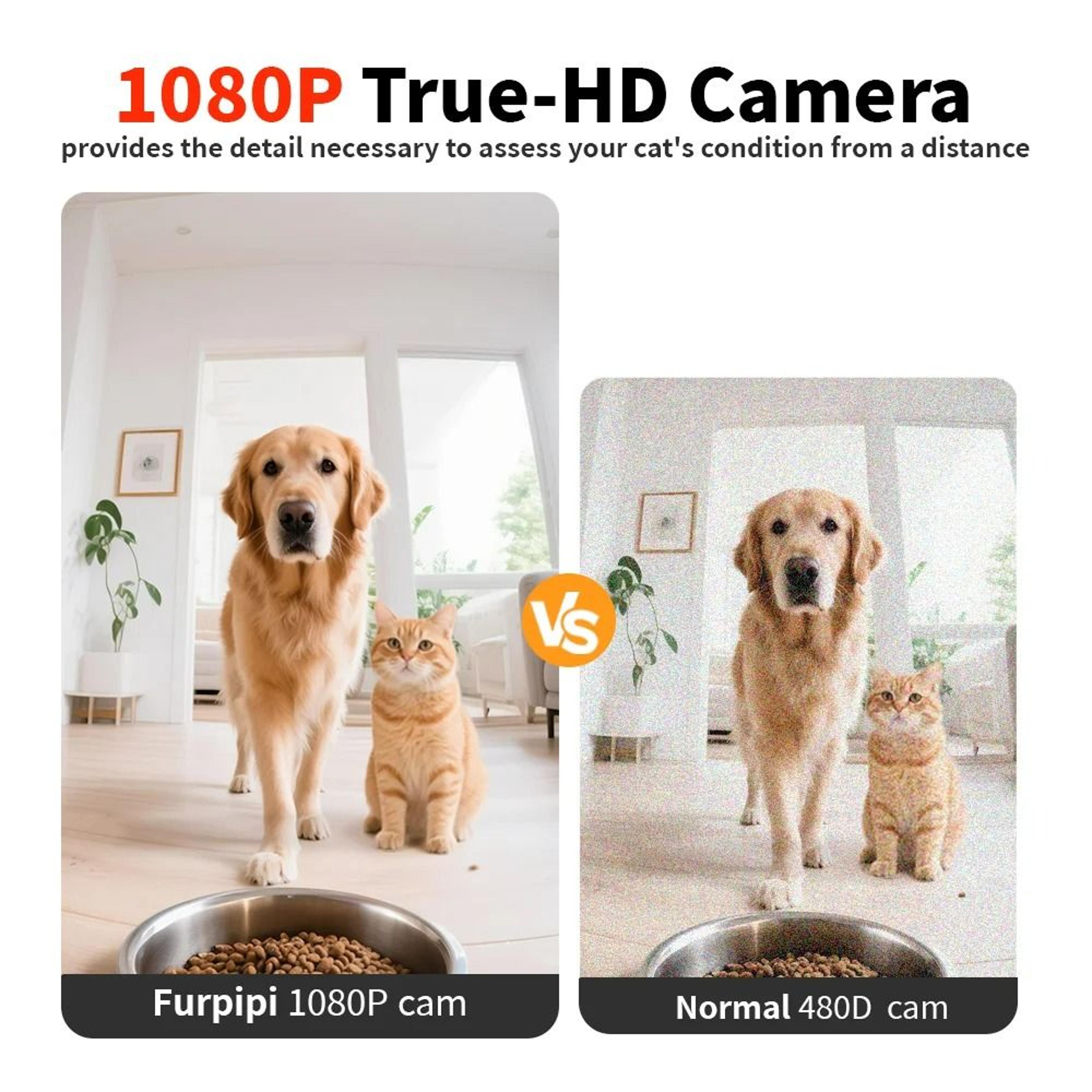 8L Smart Vision Automatic Pet Feeder With 1080P HD Camera  5G WiFi 3