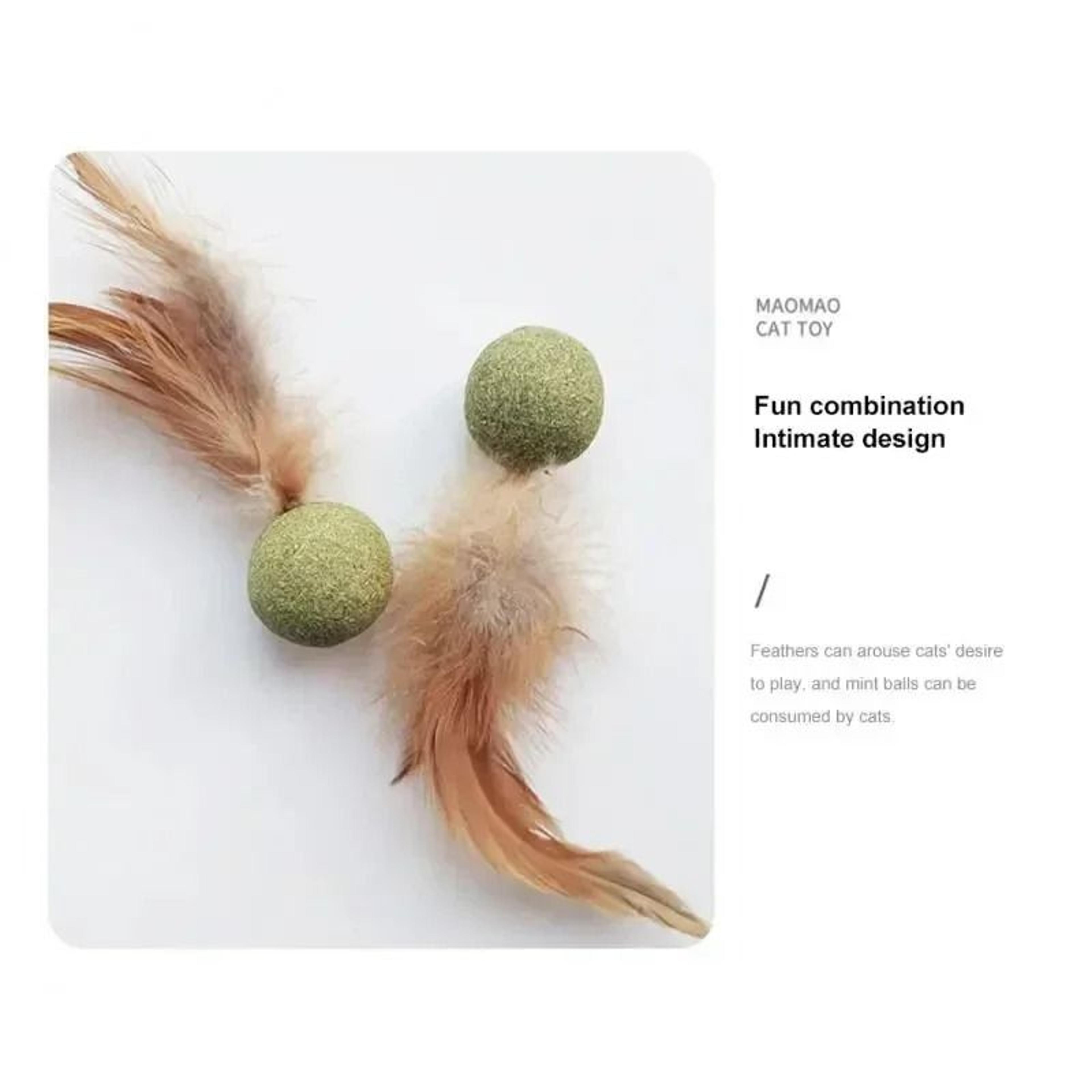 Natural Edible Catnip Wall Ball  Rotating Interactive Toy 2