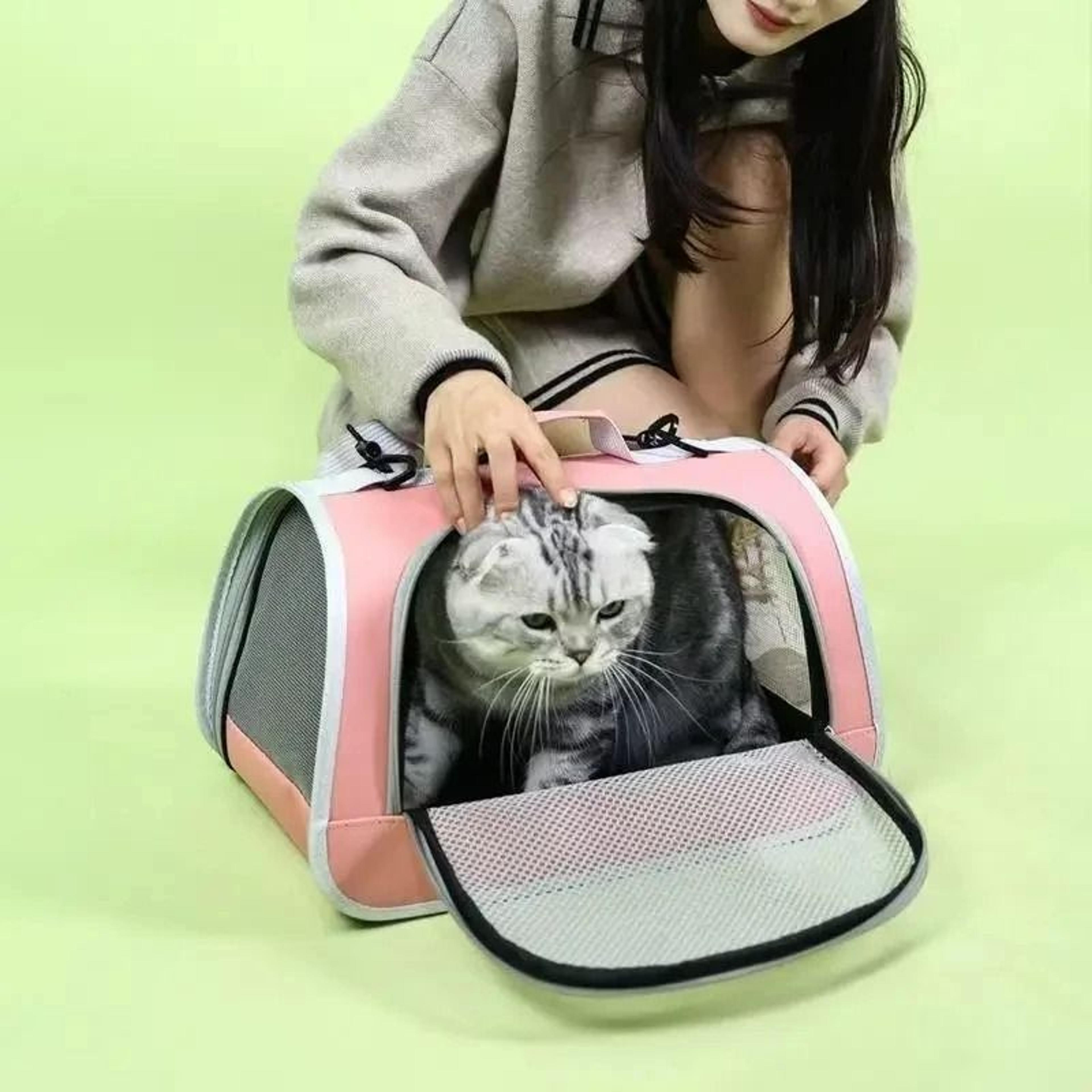 Folding Waterproof Travel Carrier For Cats  Small Dogs 4