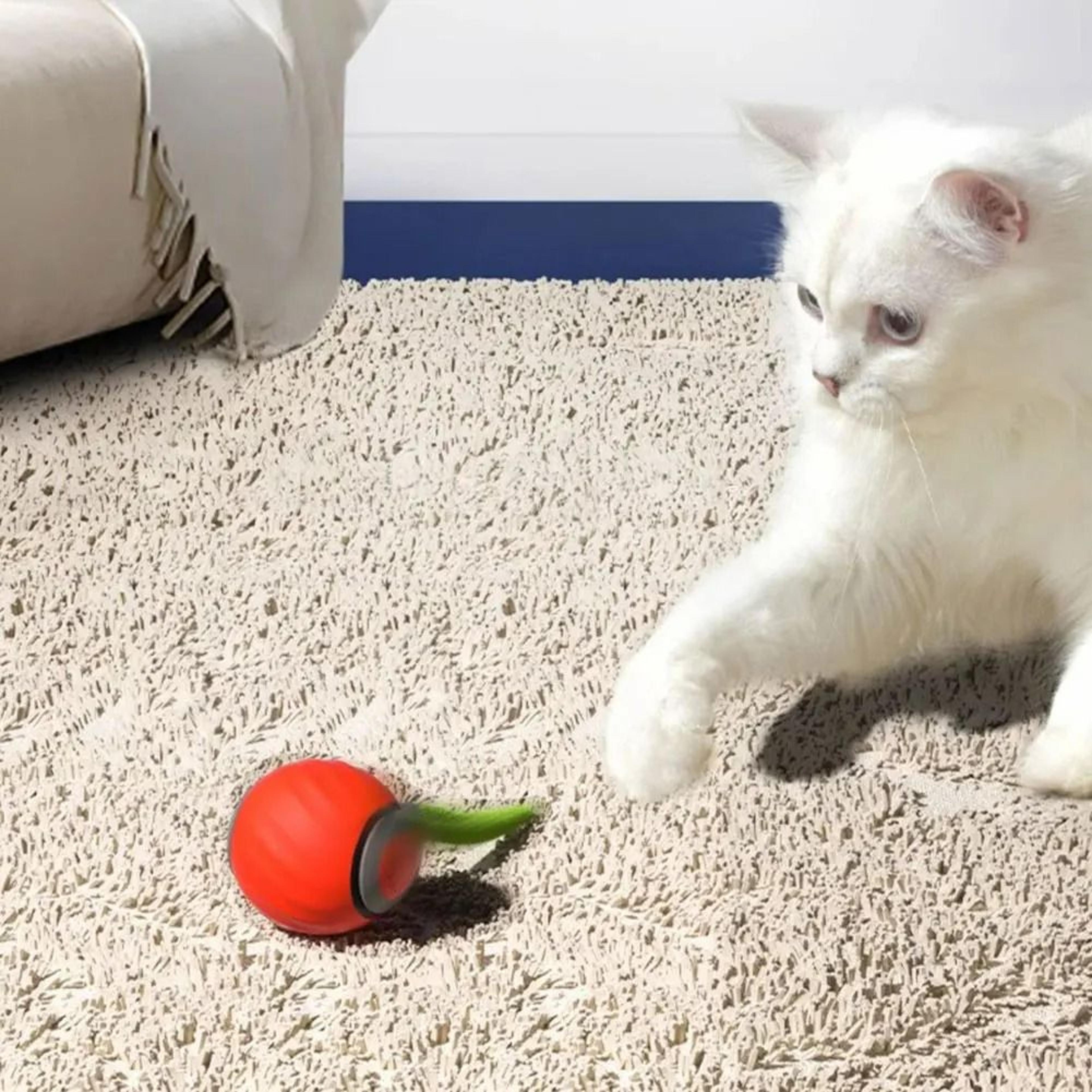 Speedy Tail 20 New Generation Smart Interactive Cat Toy 2Piece Set 4