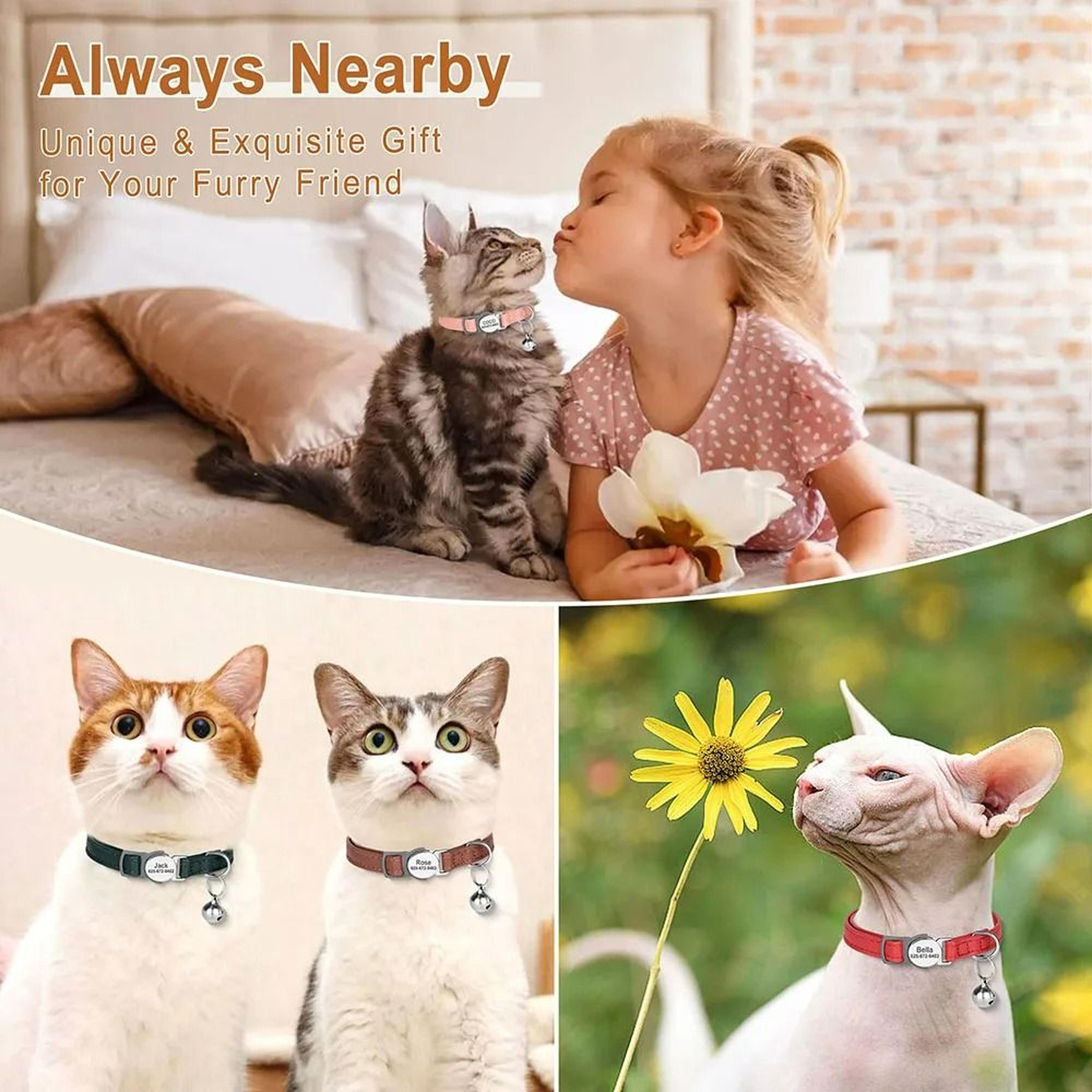 Custom Personalized PU Leather Cat Collar With Engraved ID Nameplate 4