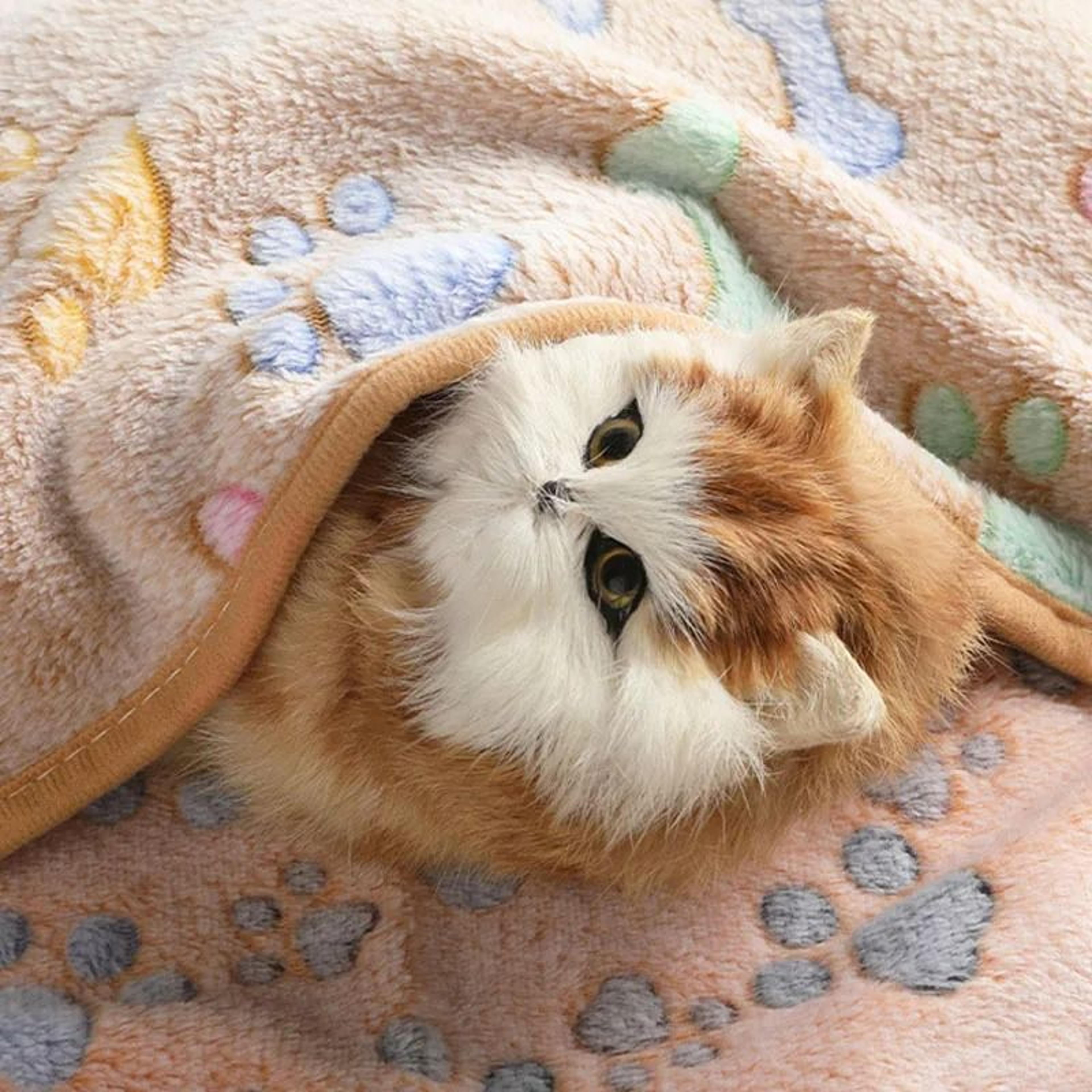 cozy paw winter velvet pet fleece blanket