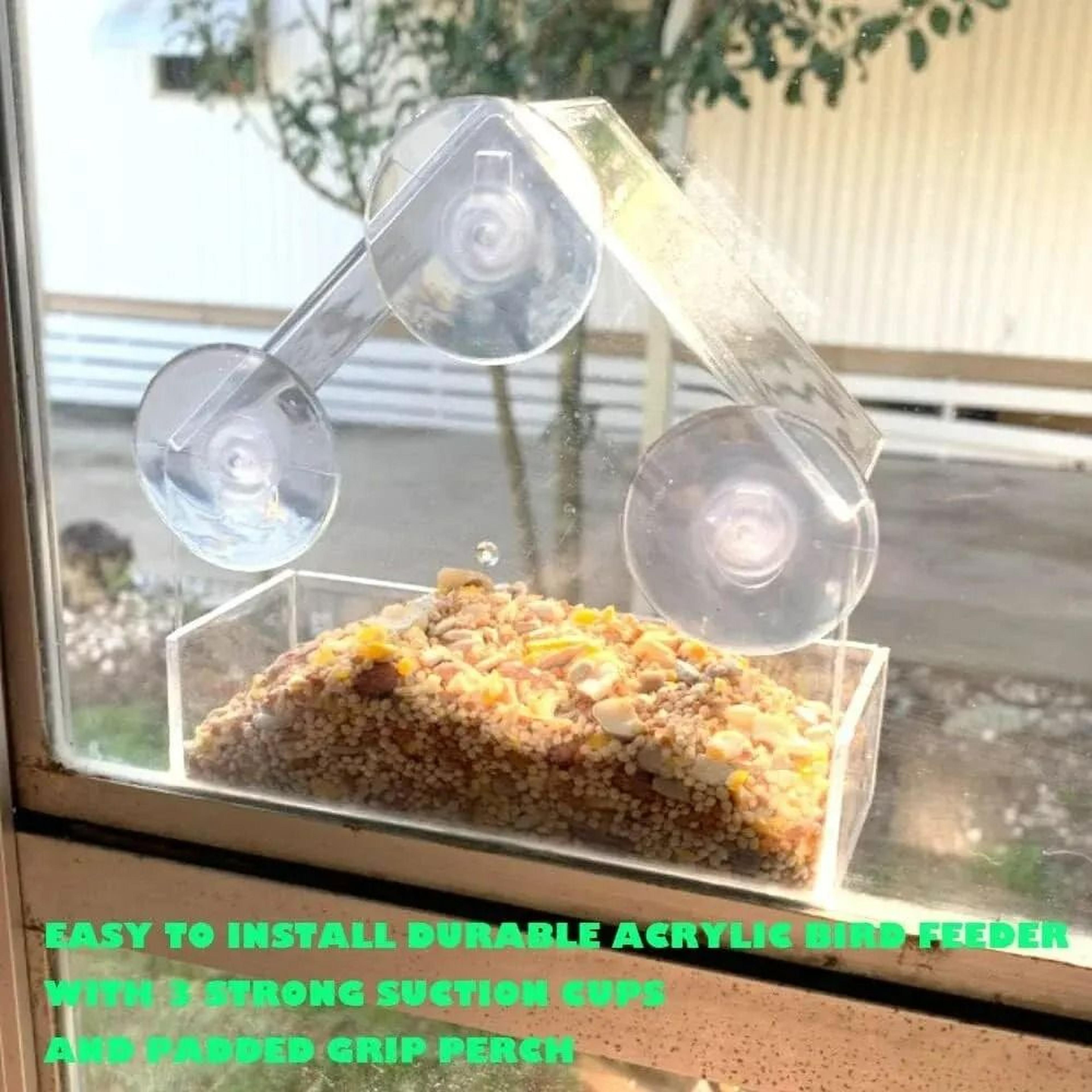 Bird Feeder HighDefinition Wildlife Observation 2