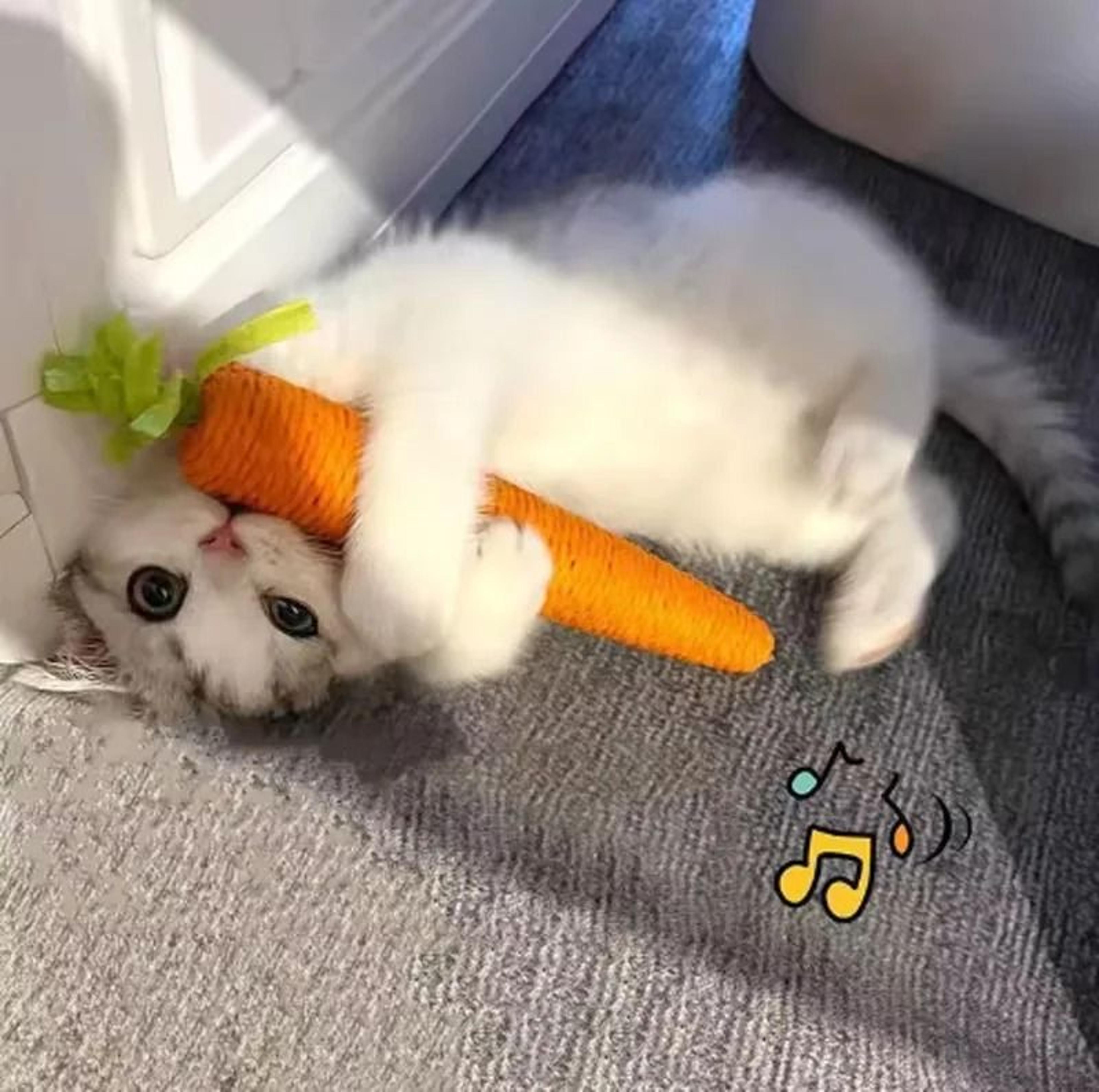 Audible Carrot Grinding  Teasing Stick 0