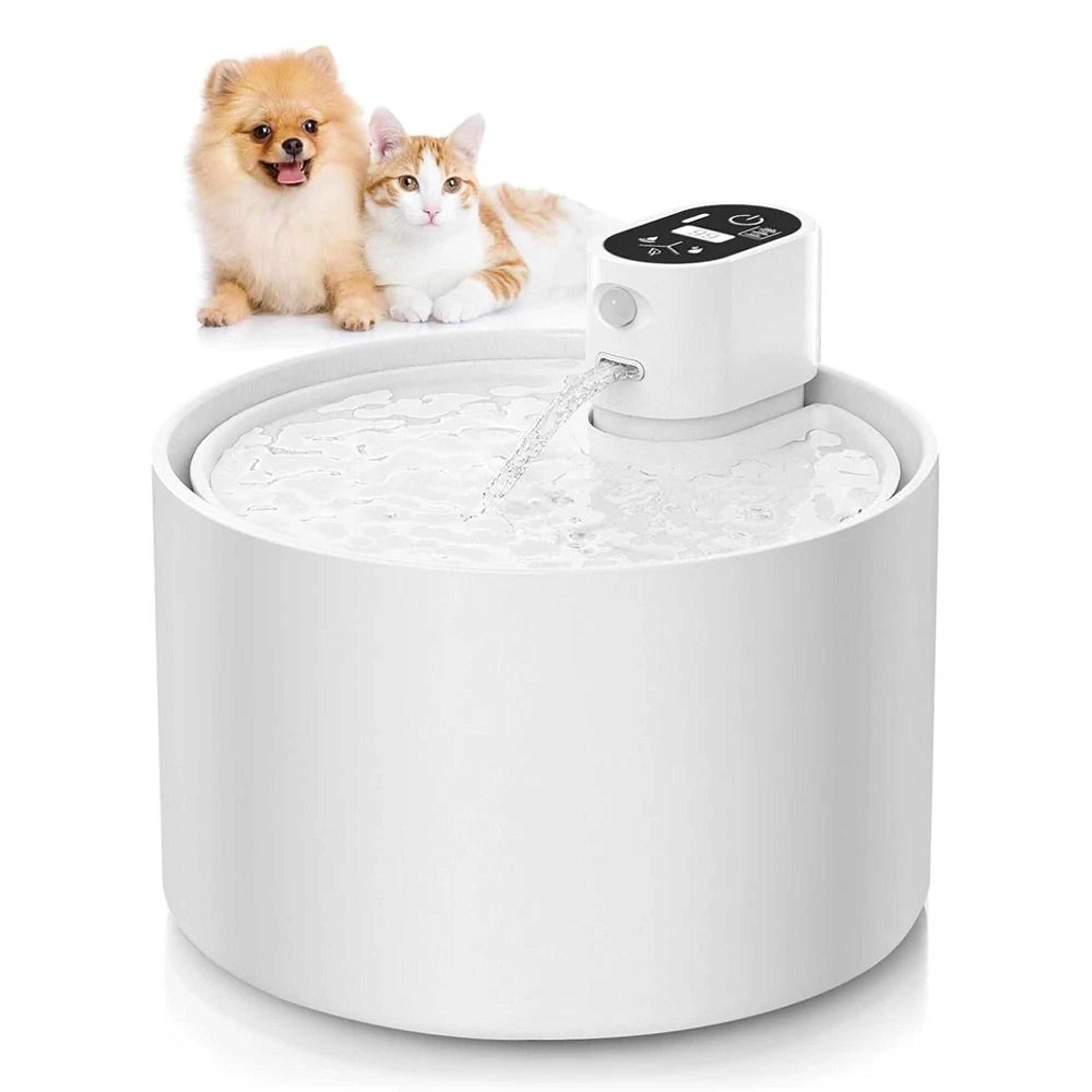 ceramic pet water fountain with digital display