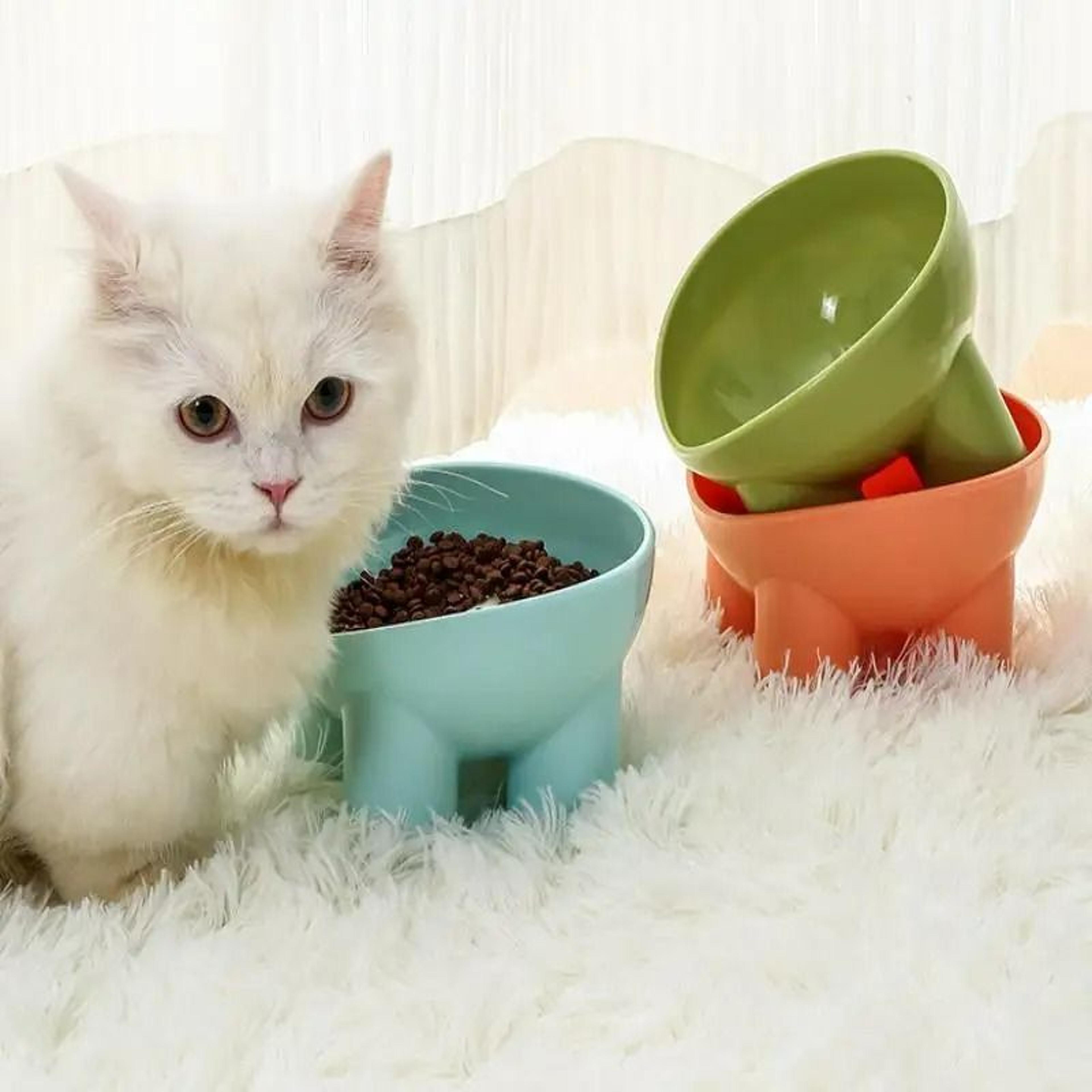 Modern Orthopedic Elevated Pet Feeder 5