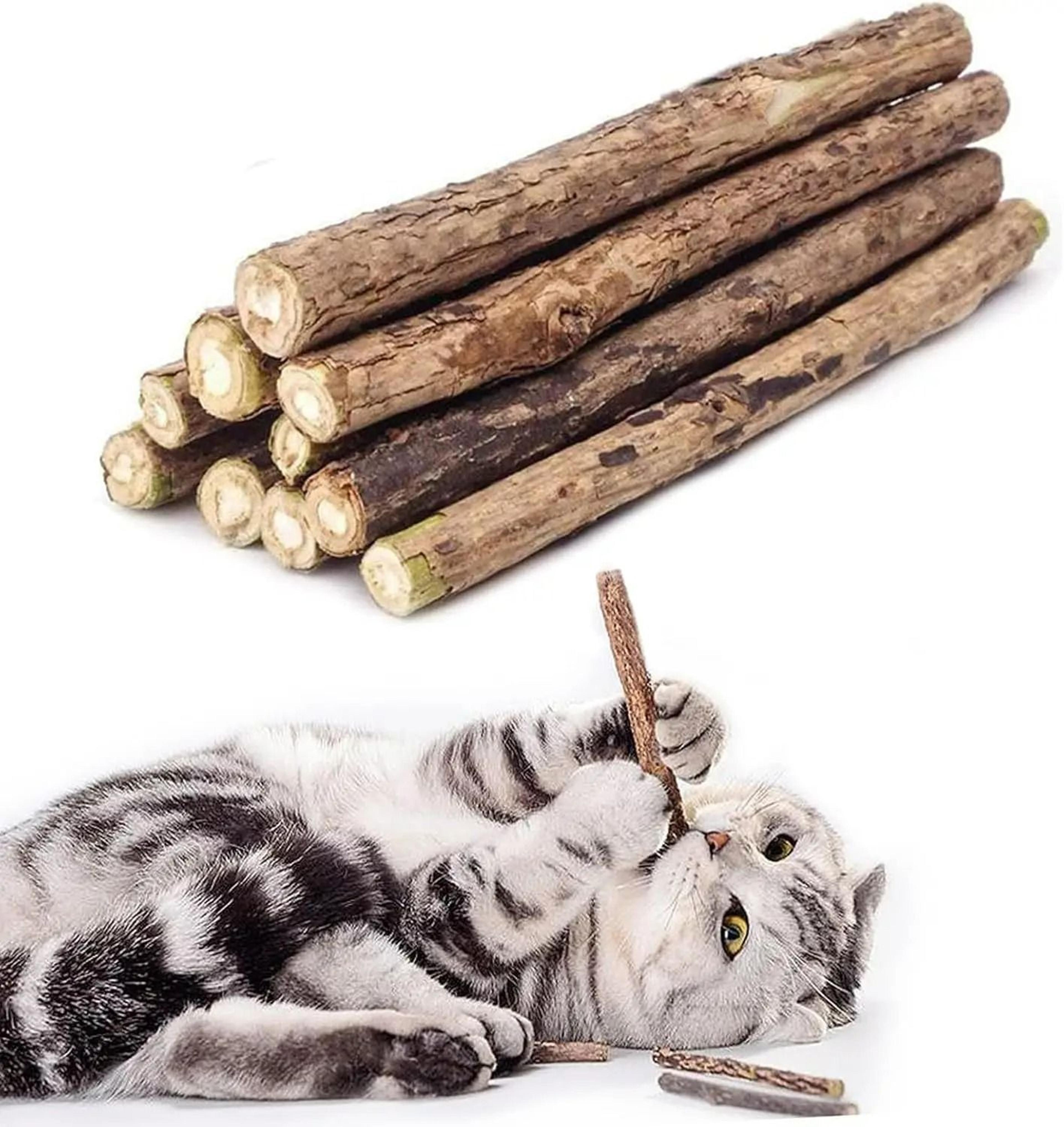 natural silvervine & catnip dental chew sticks