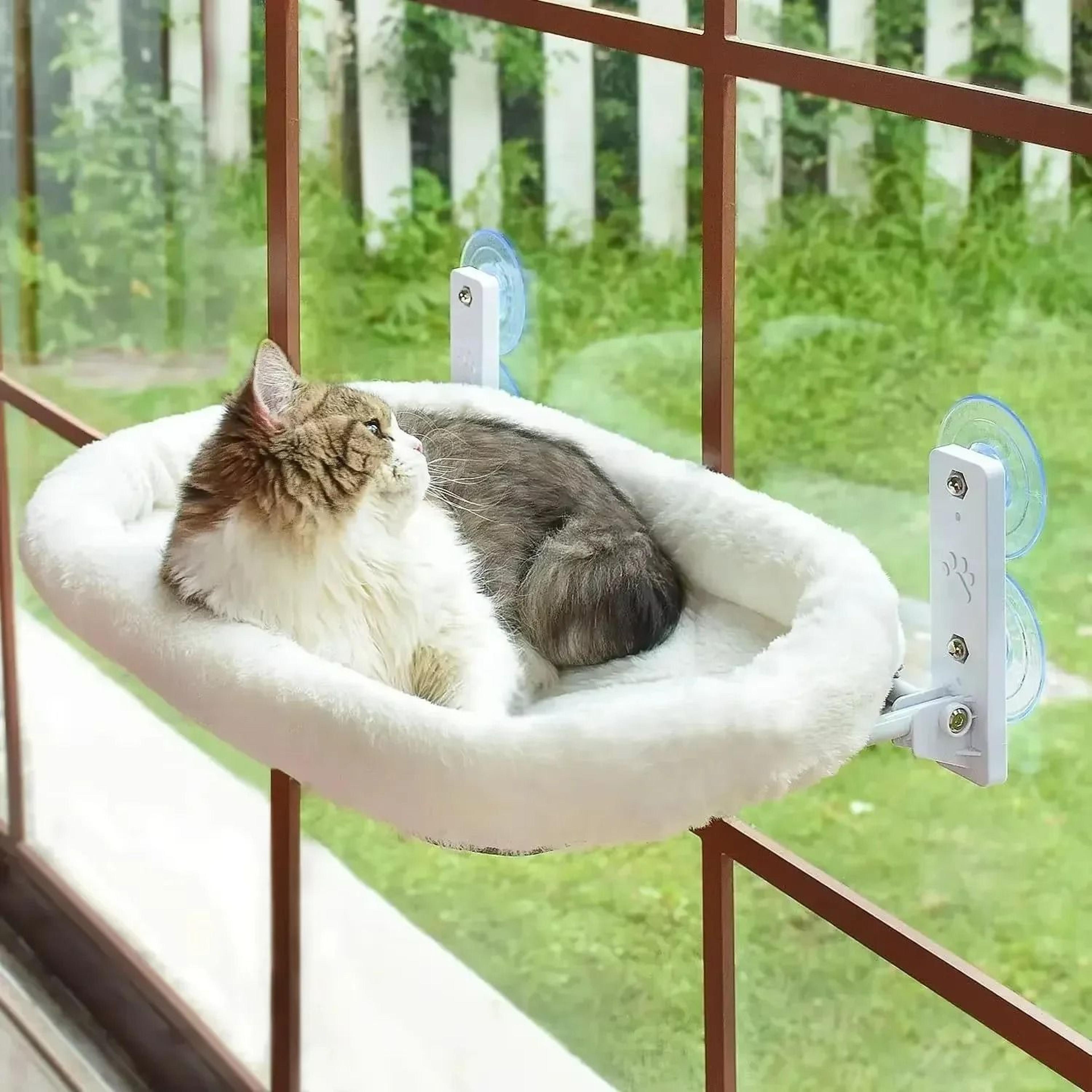Panoramic View Window Cat Hammock 7