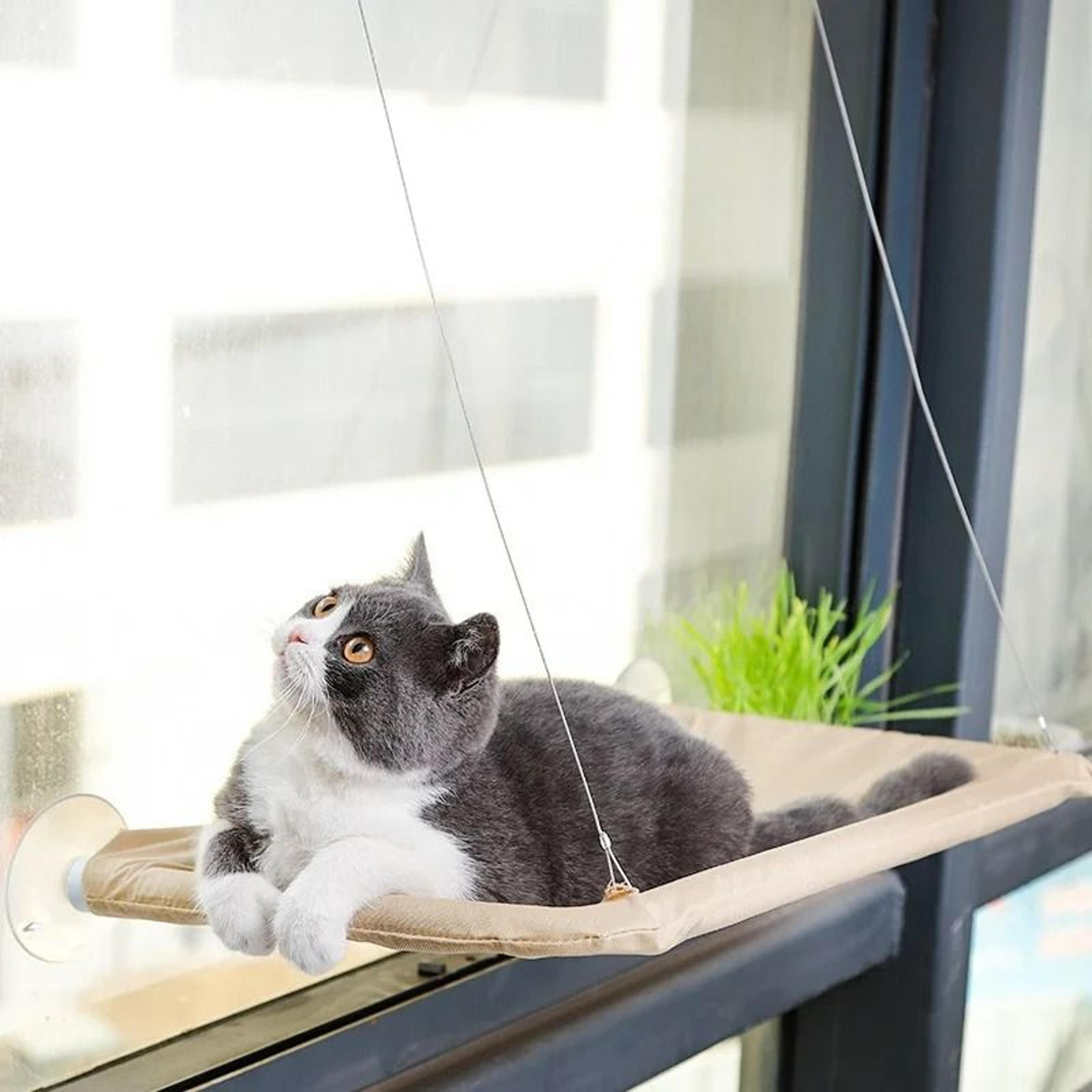 HeavyDuty Oxford Window Cat Hammock 6