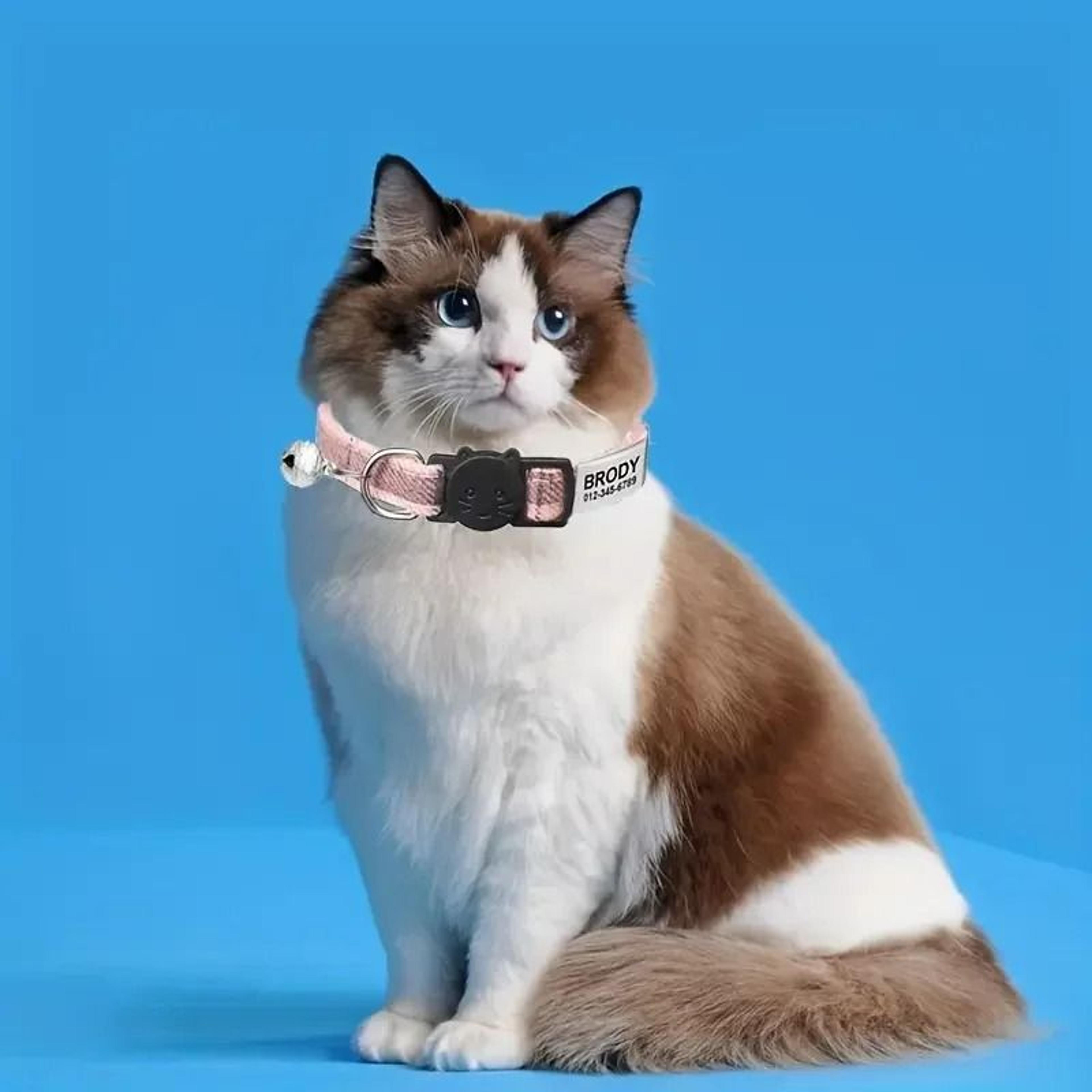 Personalized Plaid Breakaway Safety Cat Collar 4