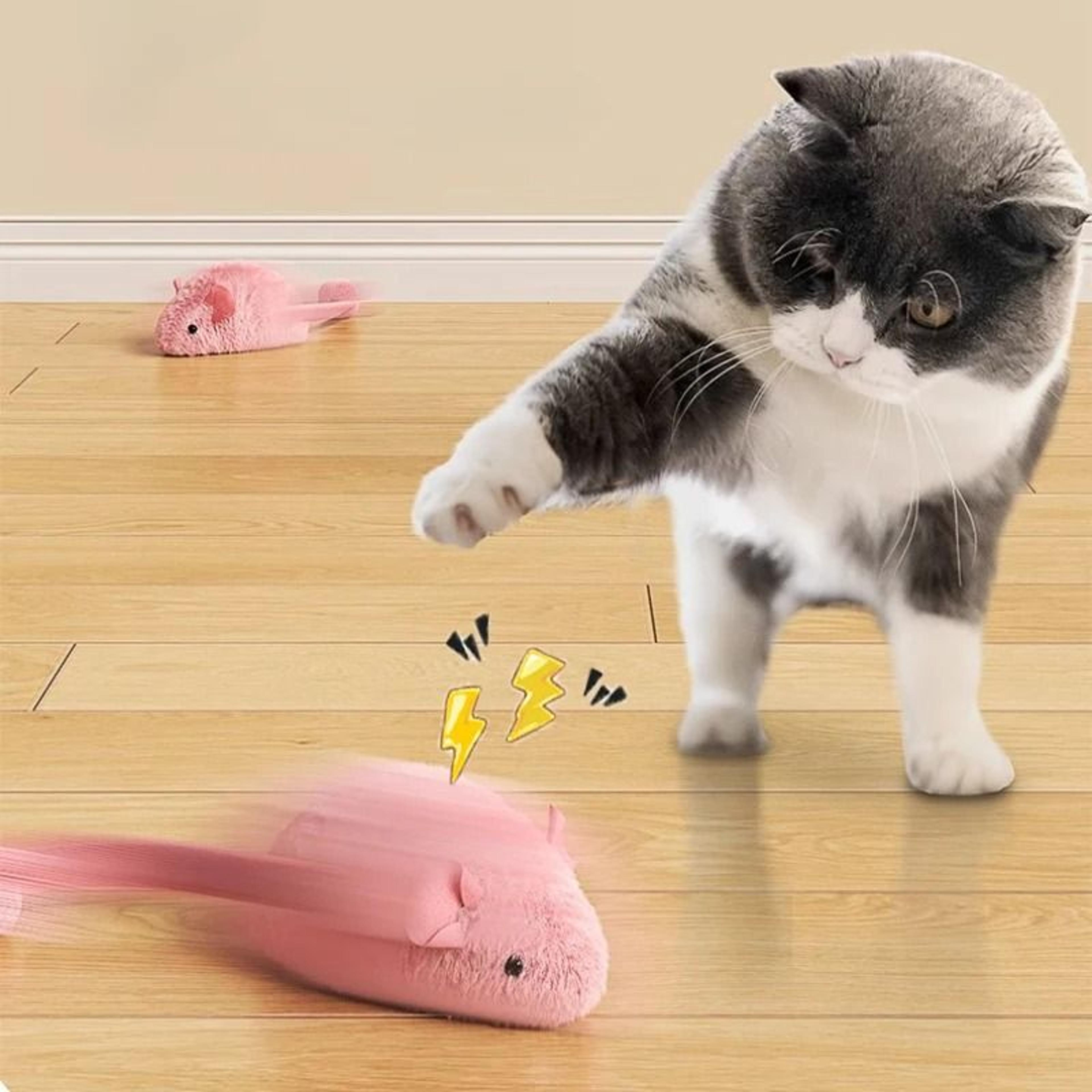 Interactive Luminous Mouse Plush Cat Chew Toy 2