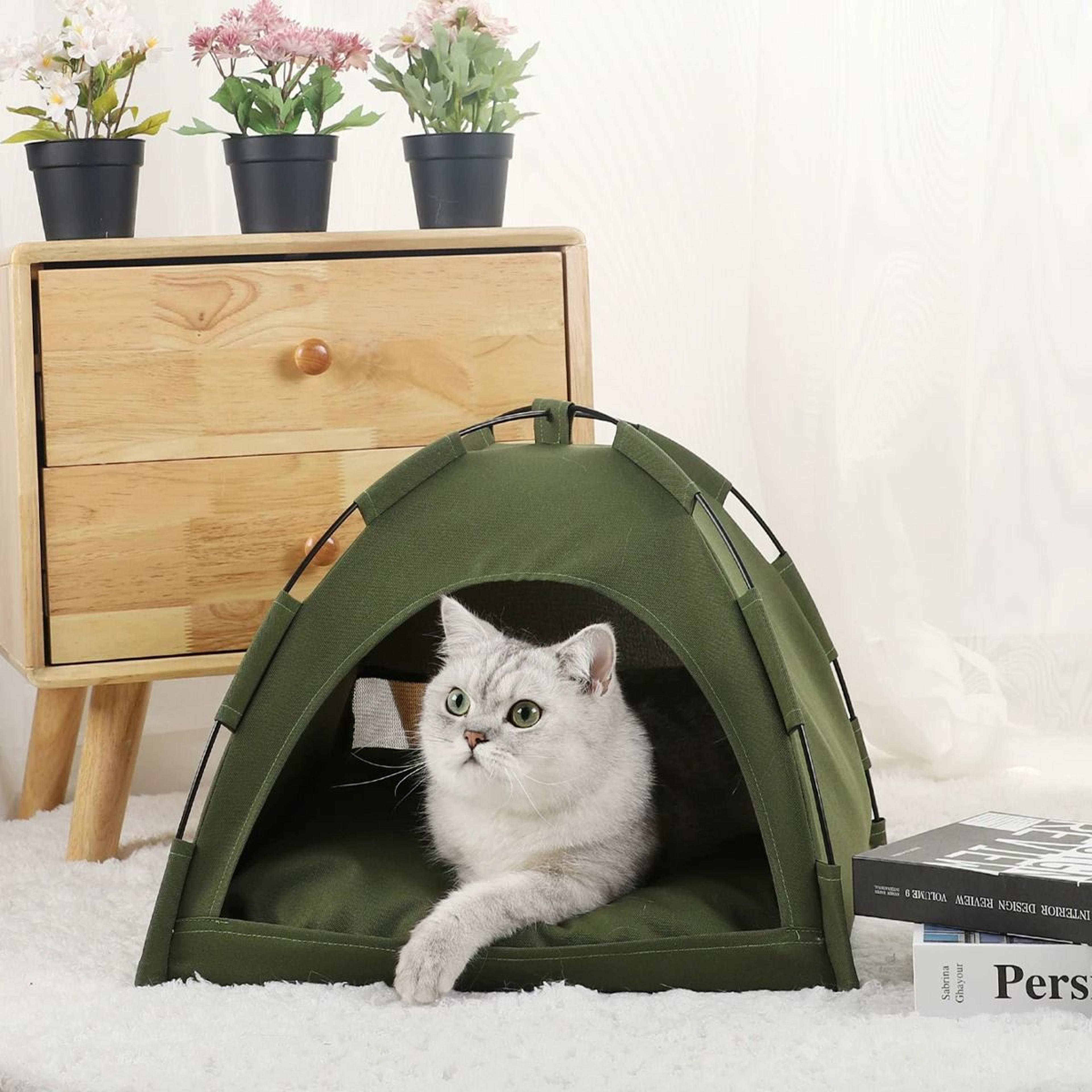 Indoor Pet Tent Bed With Removable Cushion 1