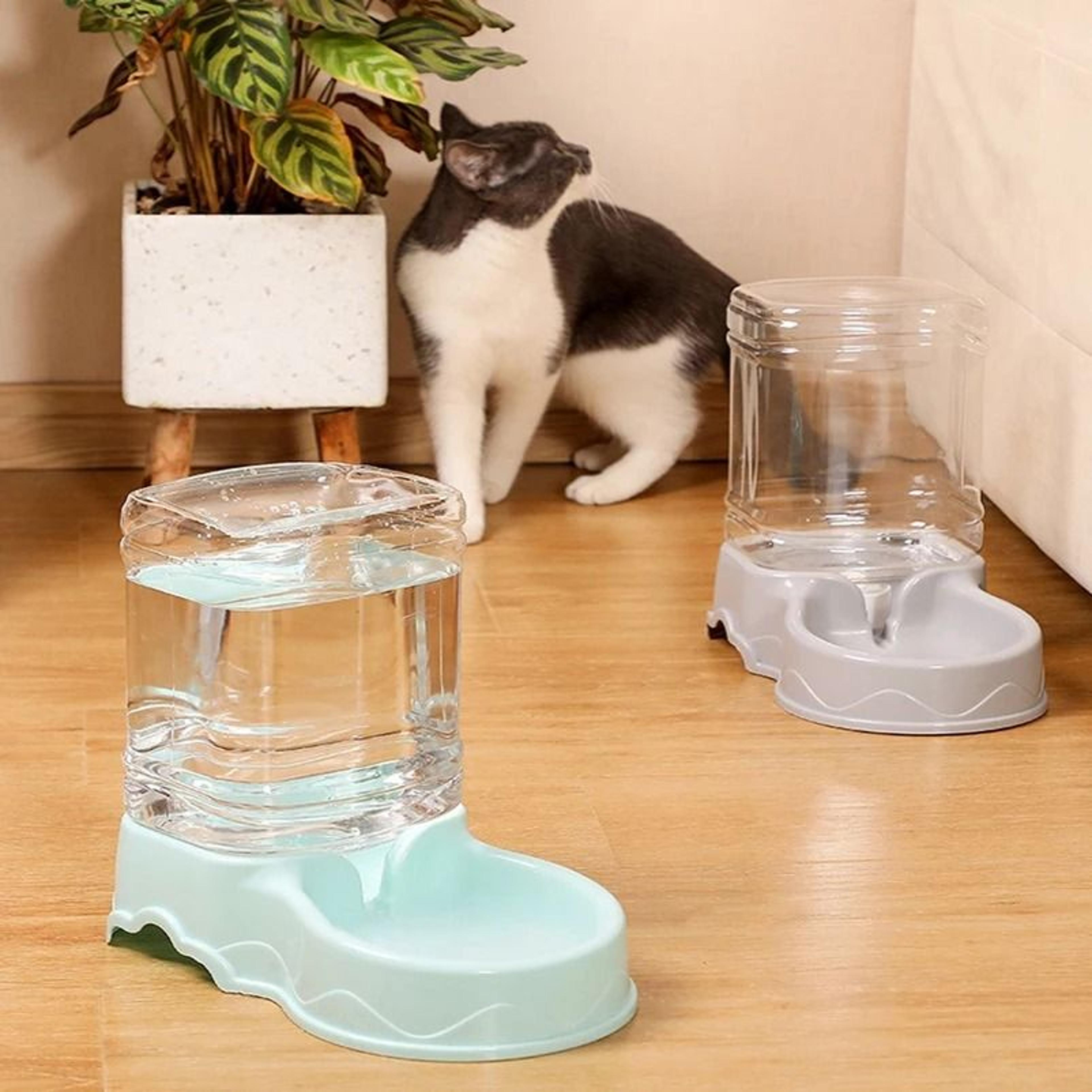 high-capacity gravity pet feeding & watering station