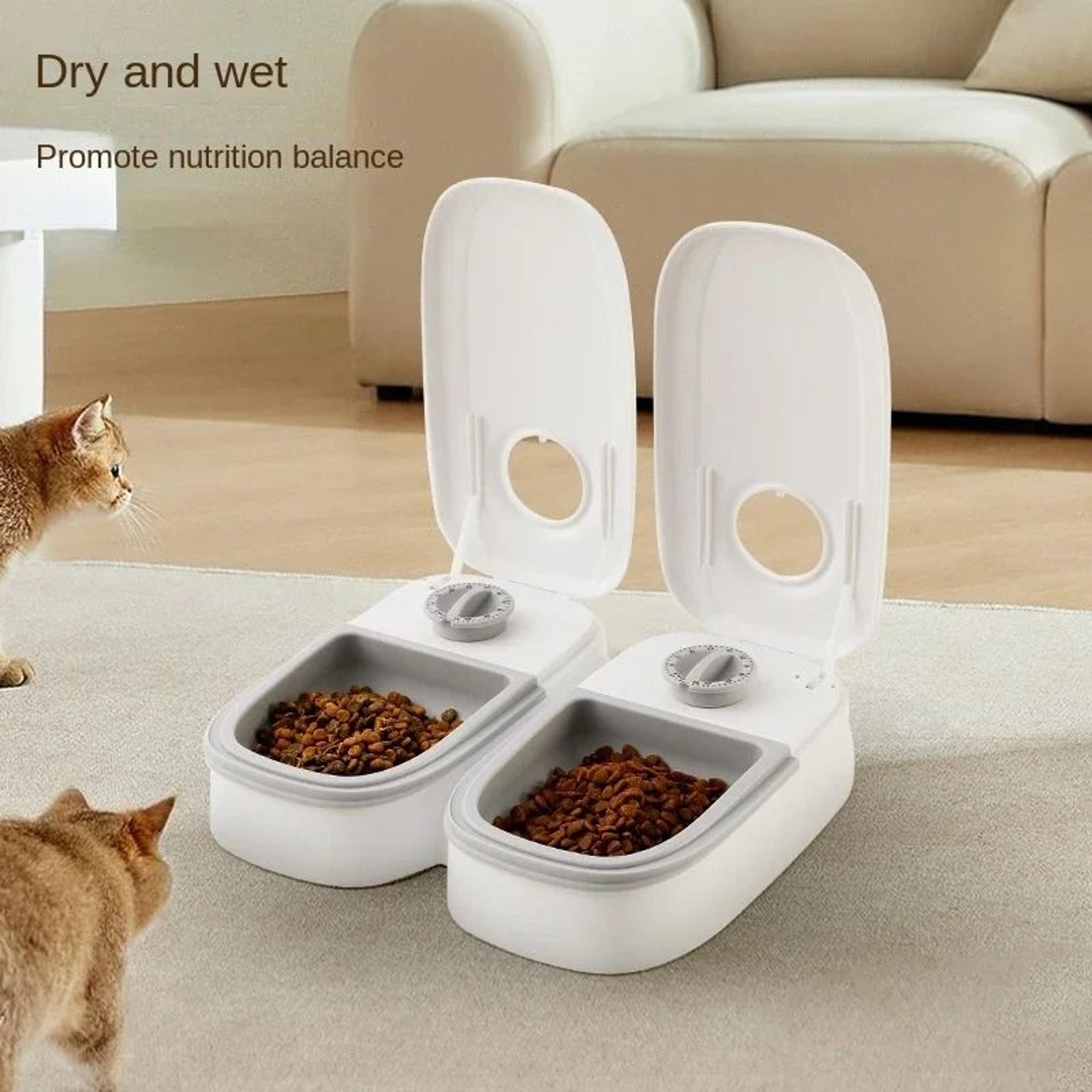 Timed Automatic Pet Feeder  Waterer Set 5