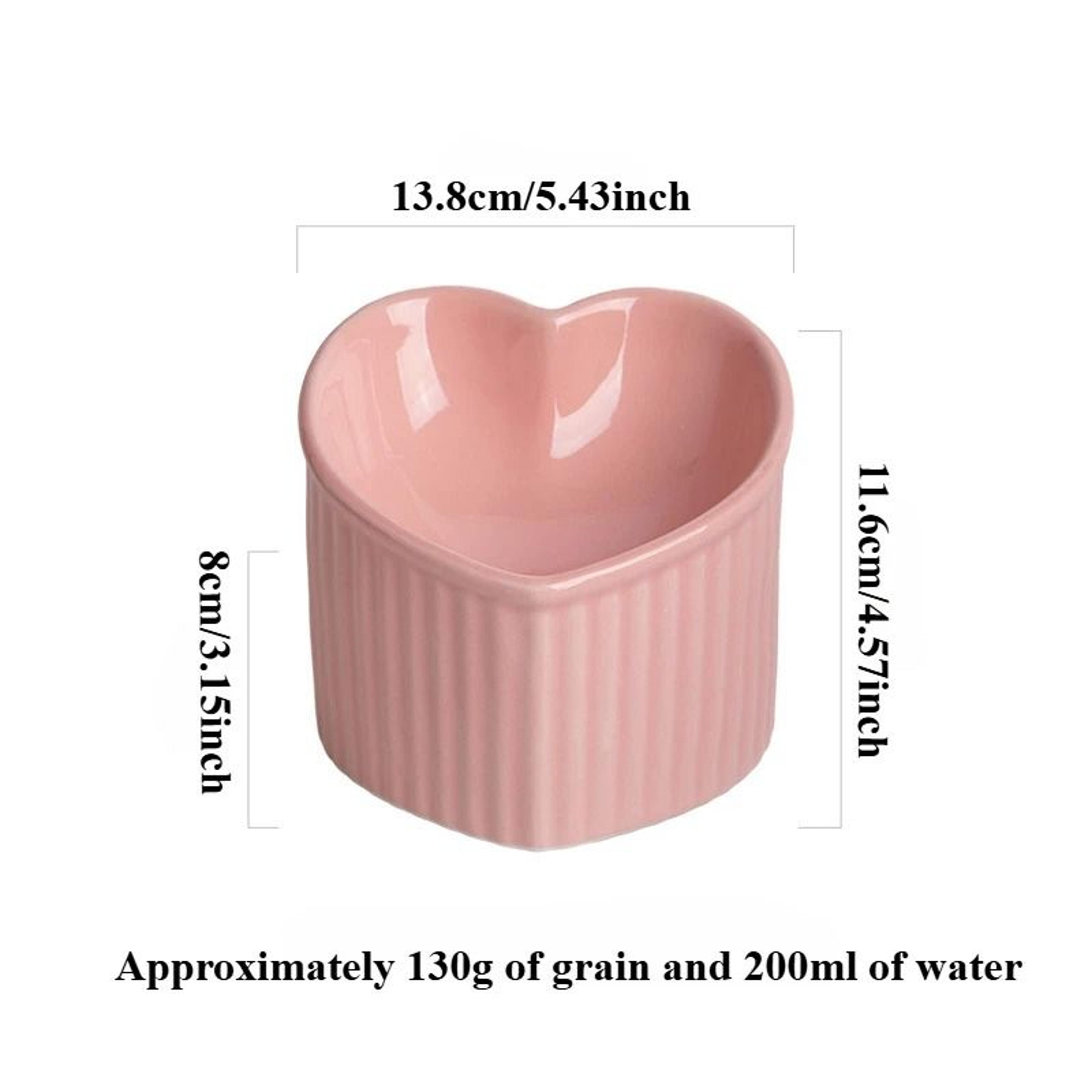 Slanted Elevated Ceramic Cat Bowl With Stand 6