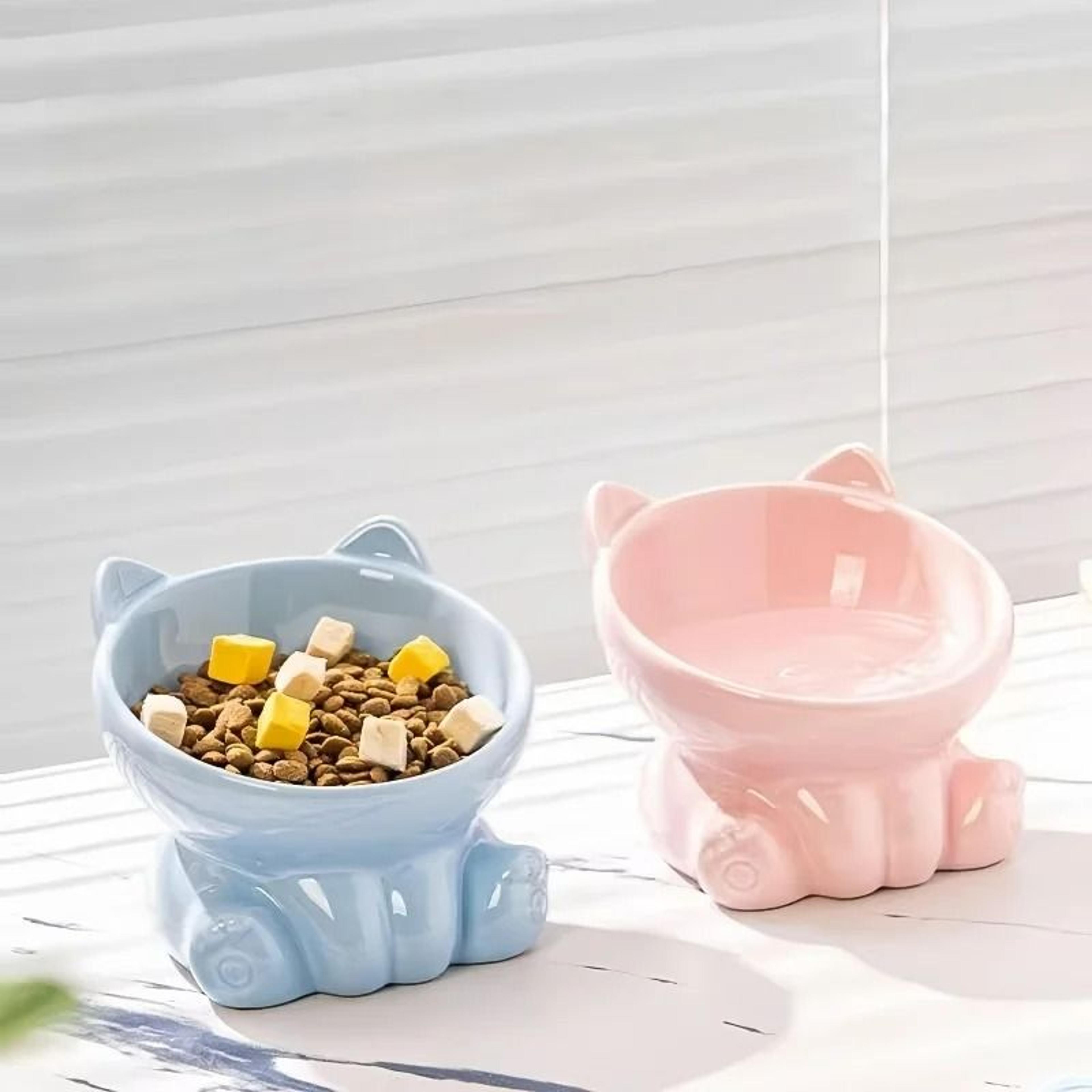 Ergonomic Diagonal Ceramic Pet Bowl 1