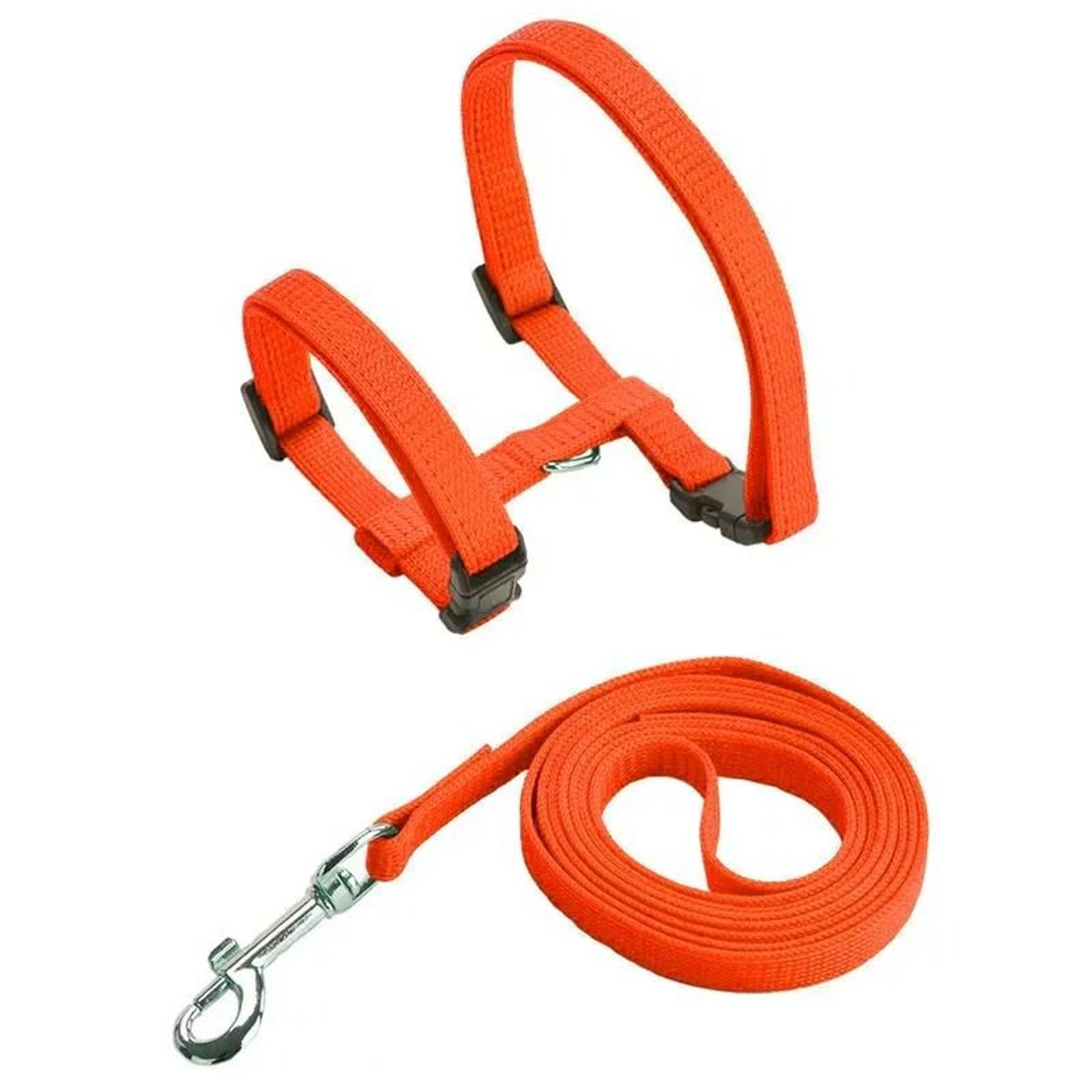 EscapeProof HShape Cat  Puppy Harness Set 10