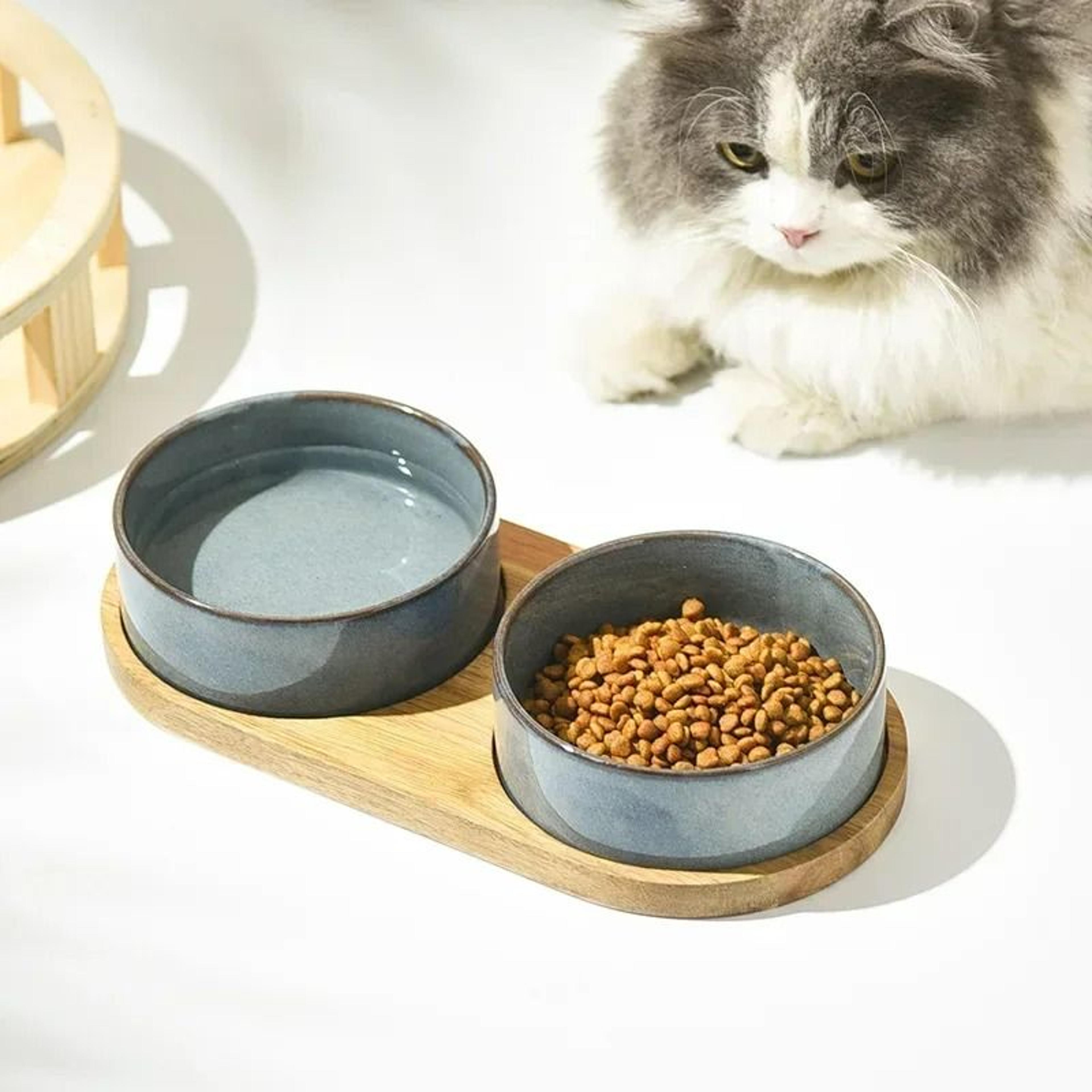 AntiRollover Ceramic Spine Protection Bowl 4