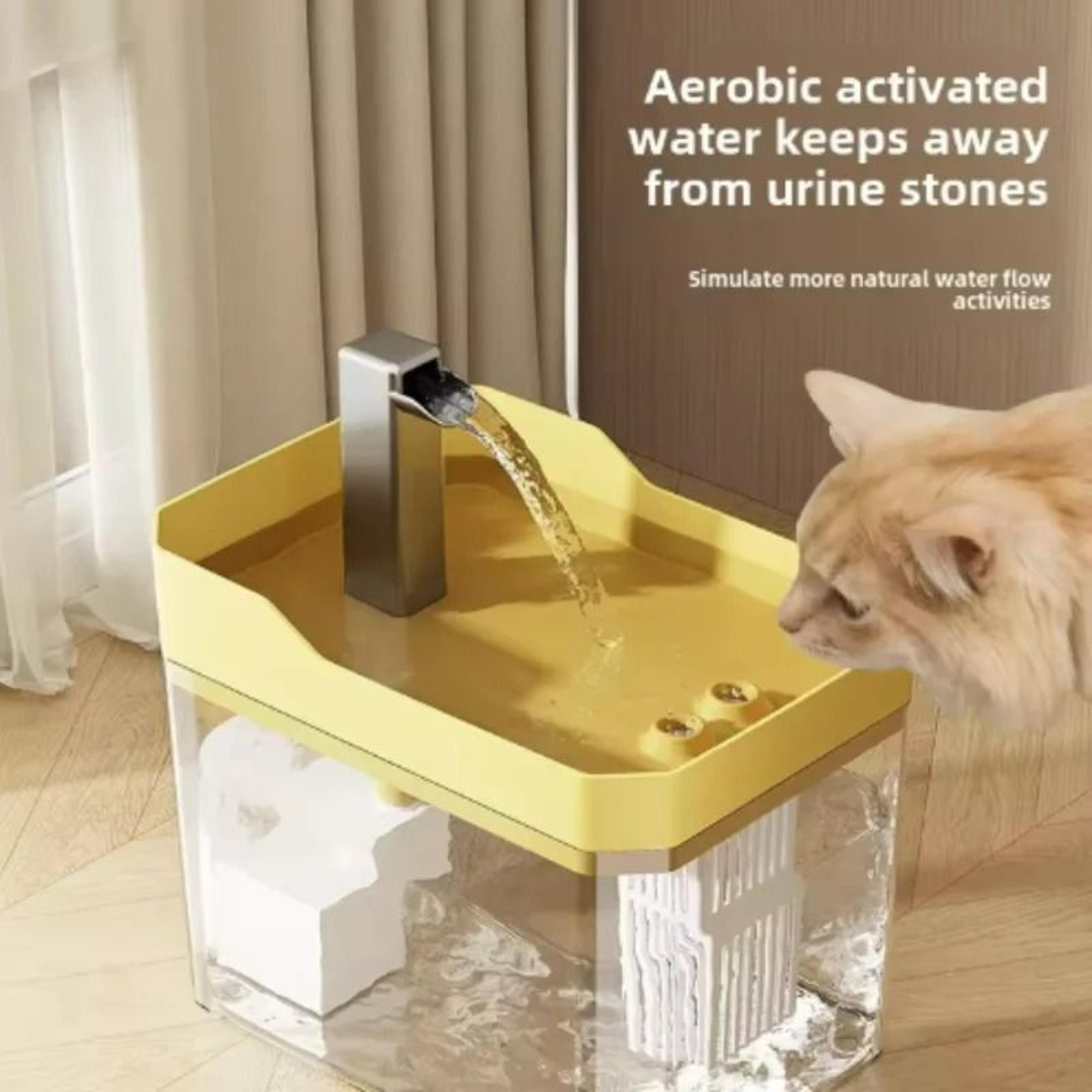 Transparent AutoFilter Pet Water Fountain 1