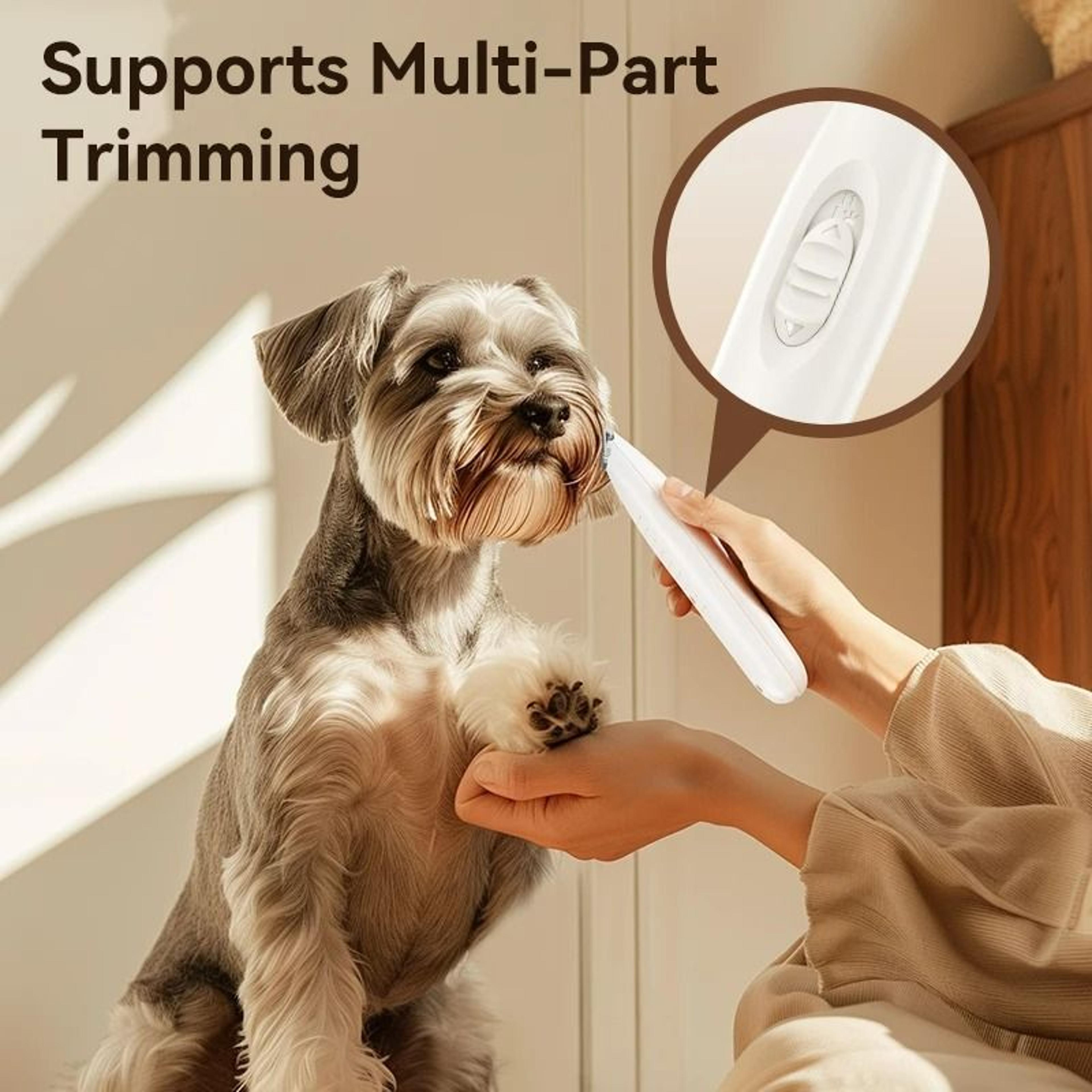 Professional LEDEquipped Precision Pet Paw Trimmer 3