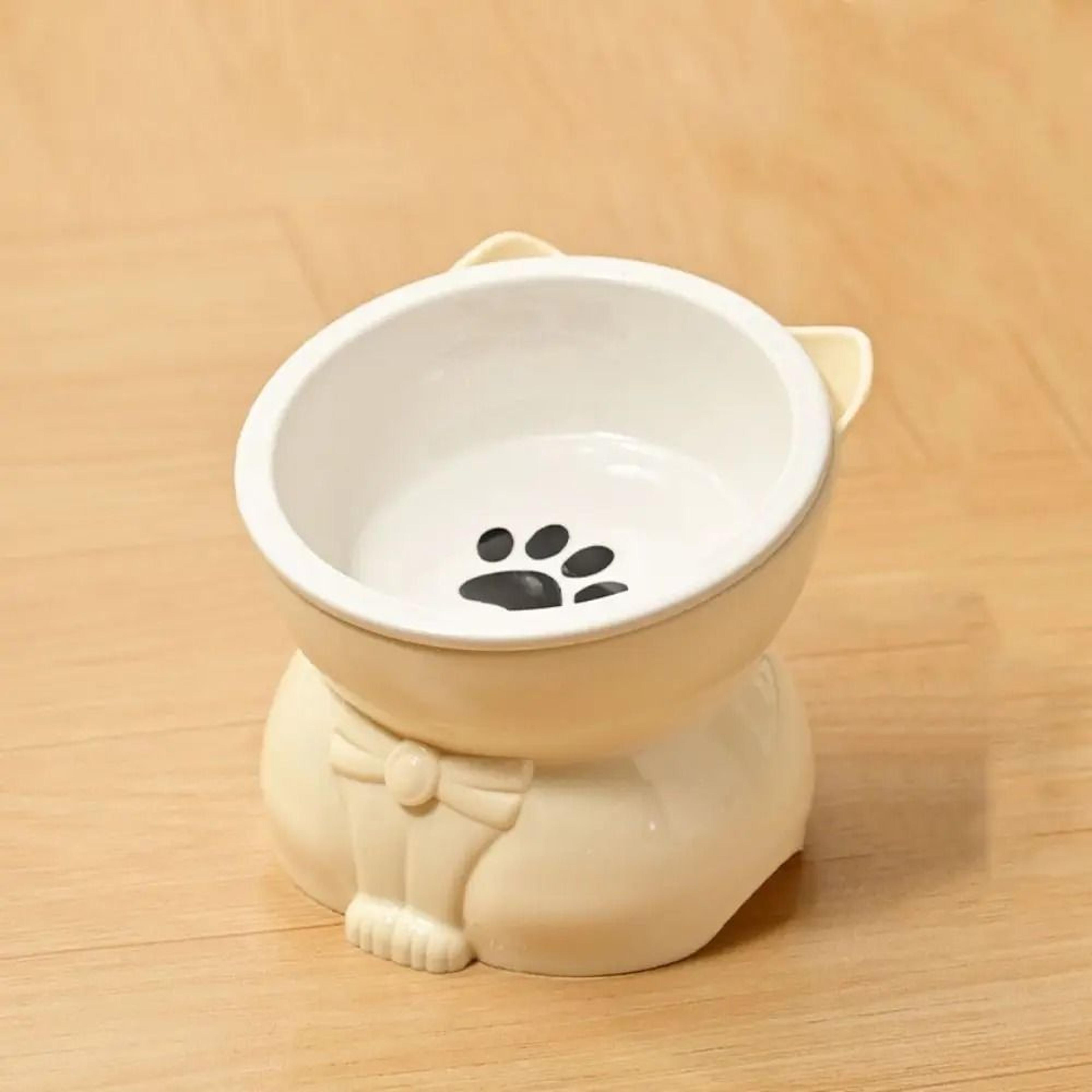 Creative Slanted Ceramic Pet Feeding Basin 1
