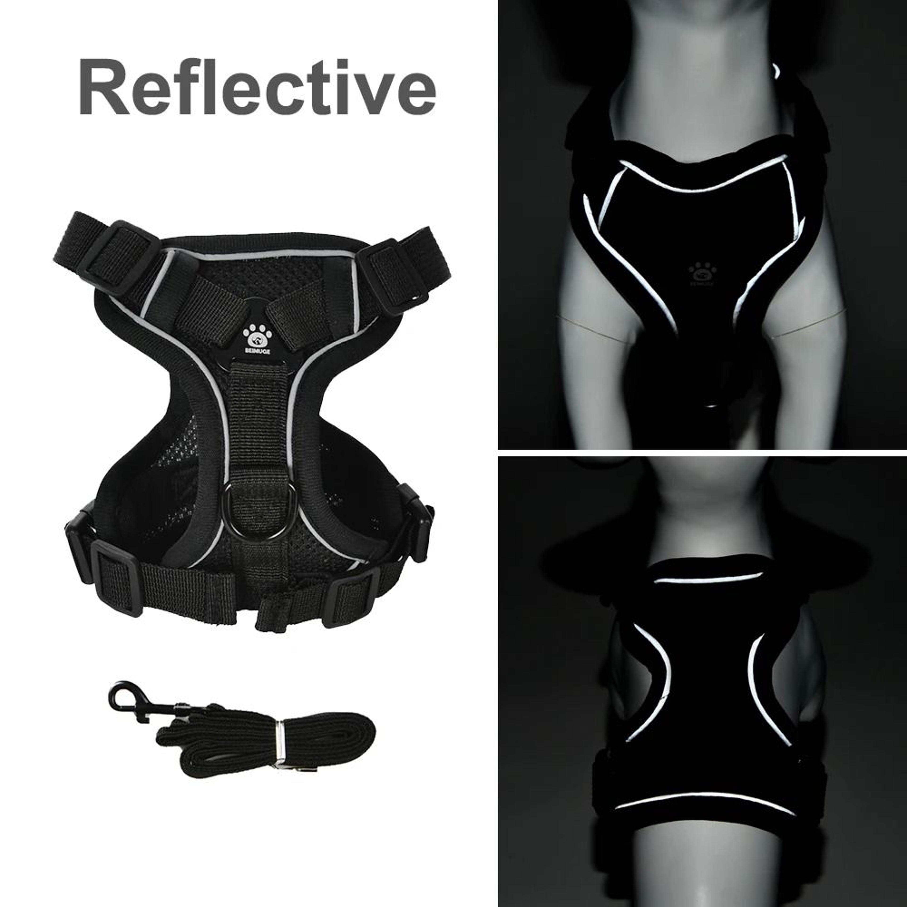 Reflective Breathable StepIn Pet Harness  Leash Set 3