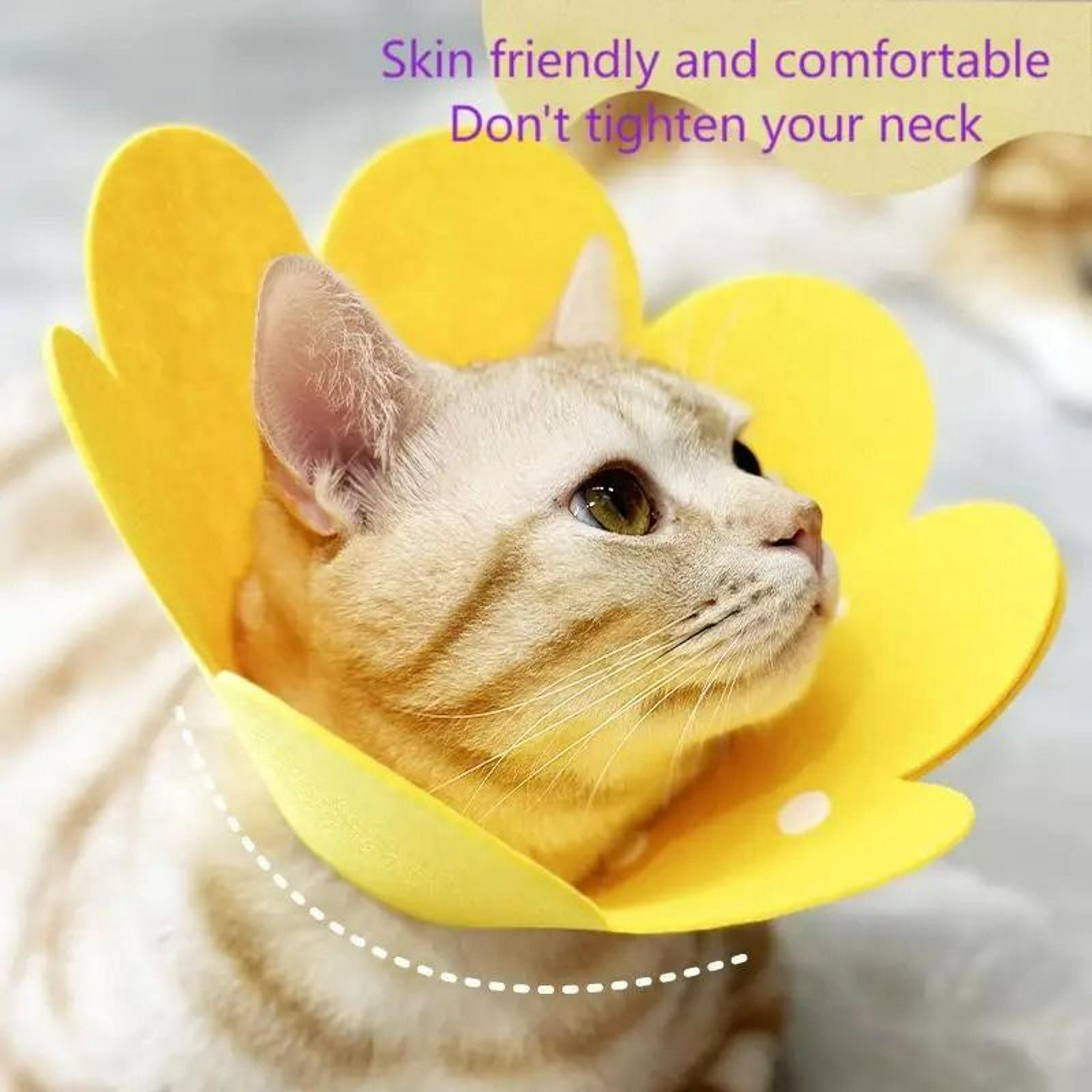 SoftEdge Pet Recovery Cone  Surgical Wound Protector 4