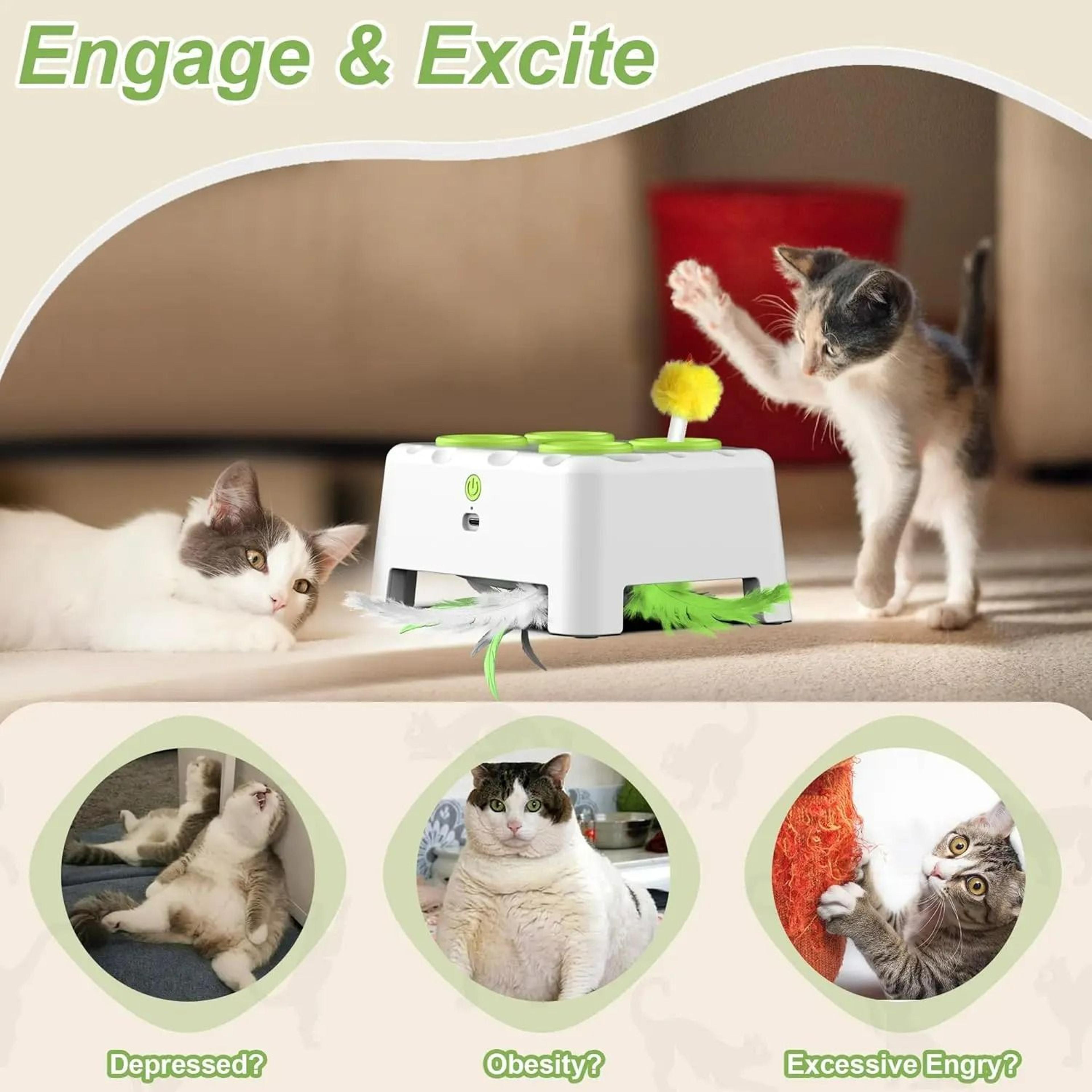 2in1 Smart Interactive WhackAMole Cat Toy 4