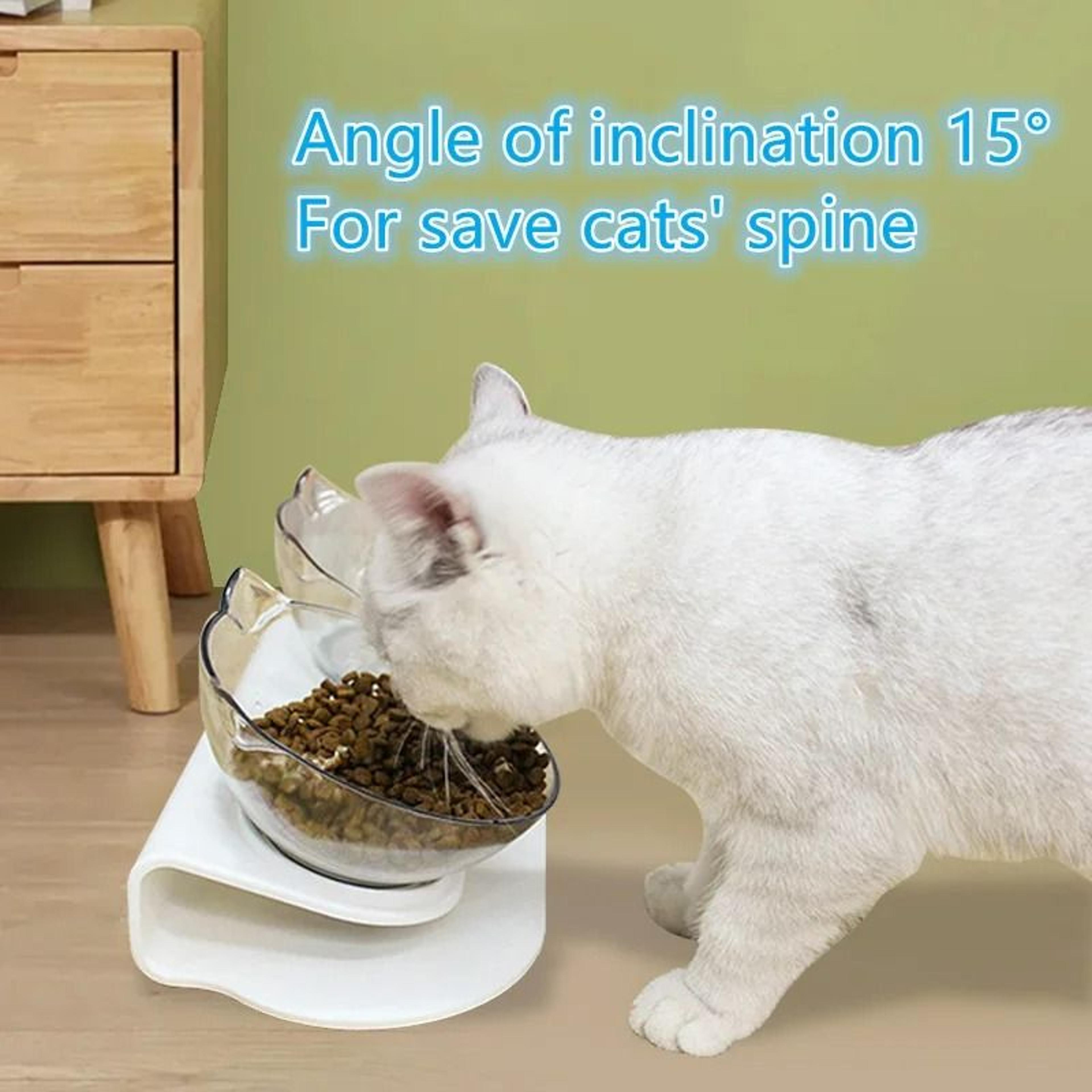 Ergonomic NonSlip Double Cat Feeding Station 2