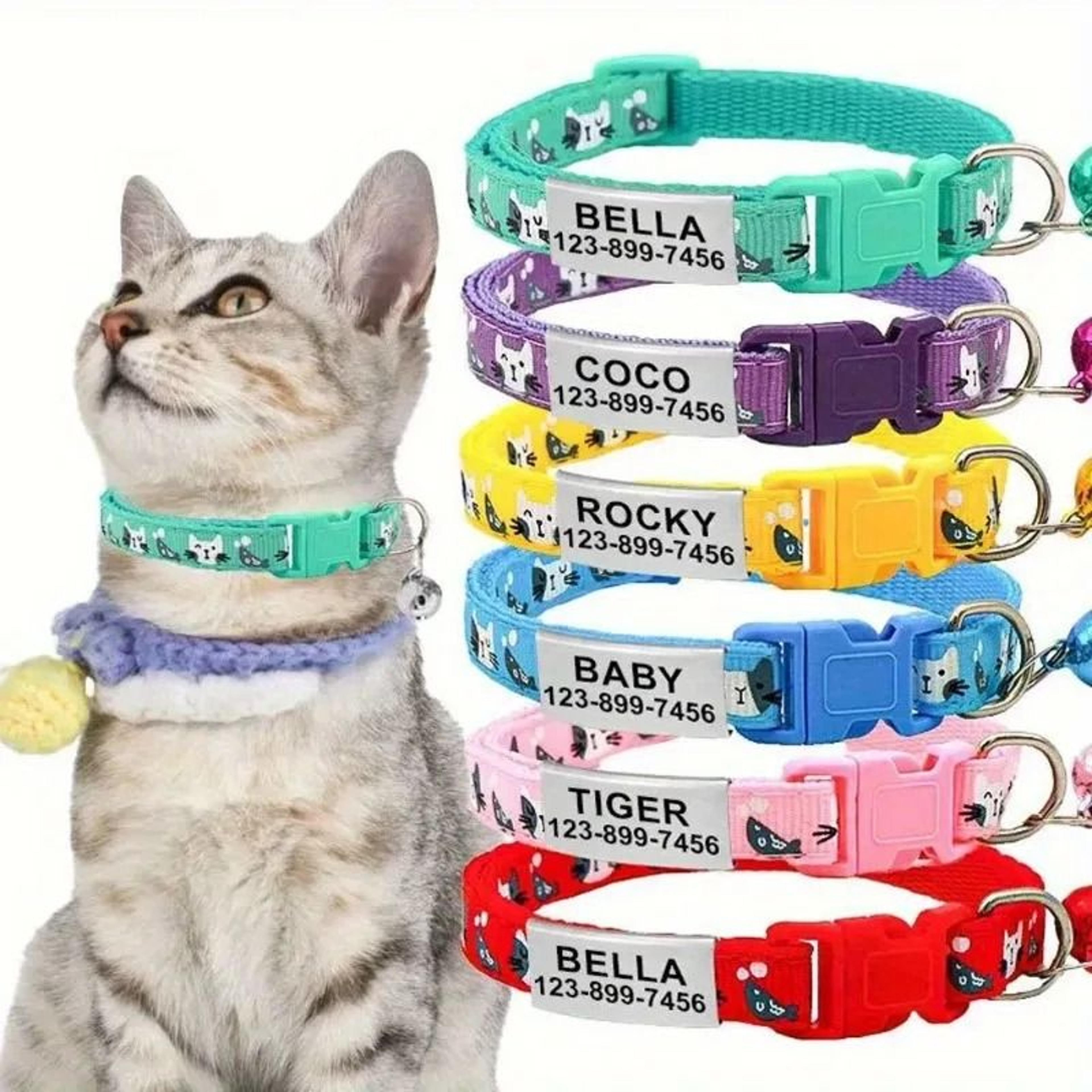 personalized safety id collar with bell & engraved plate