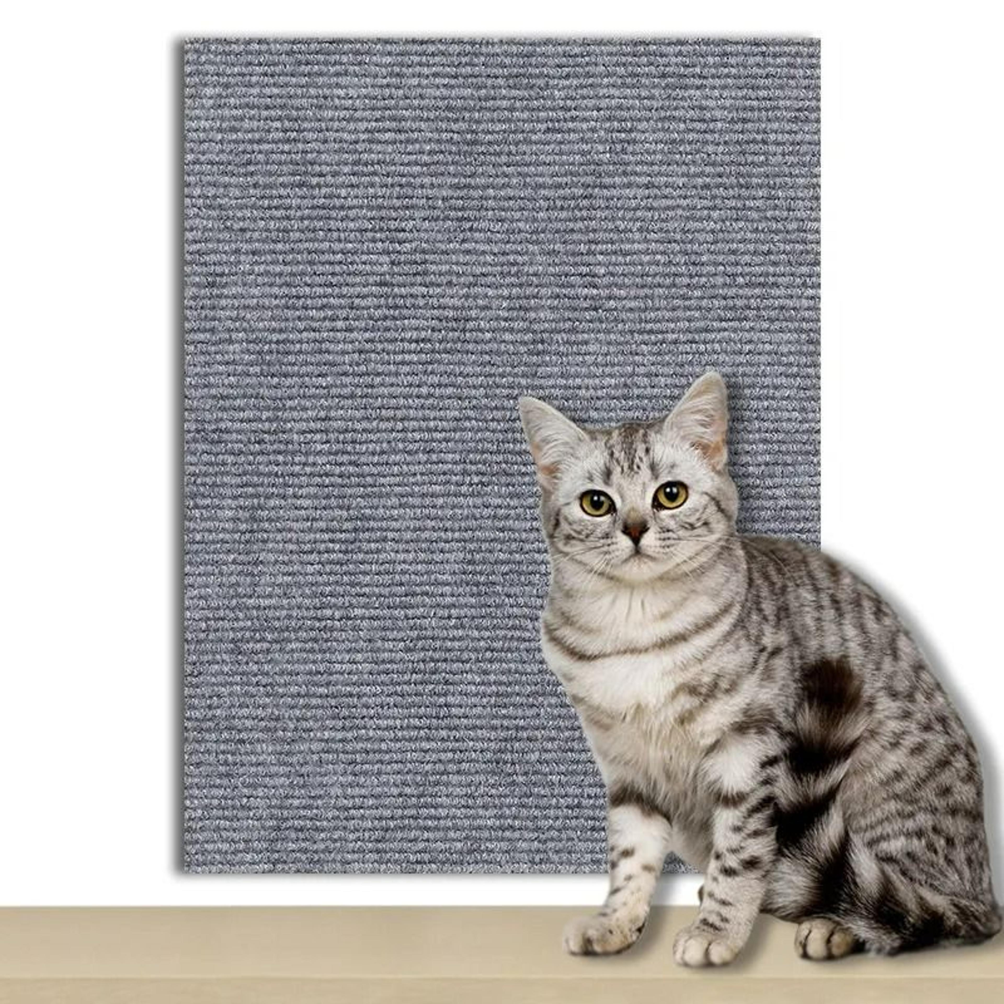 DIY SelfAdhesive Cat Scratching Carpet Protector 9