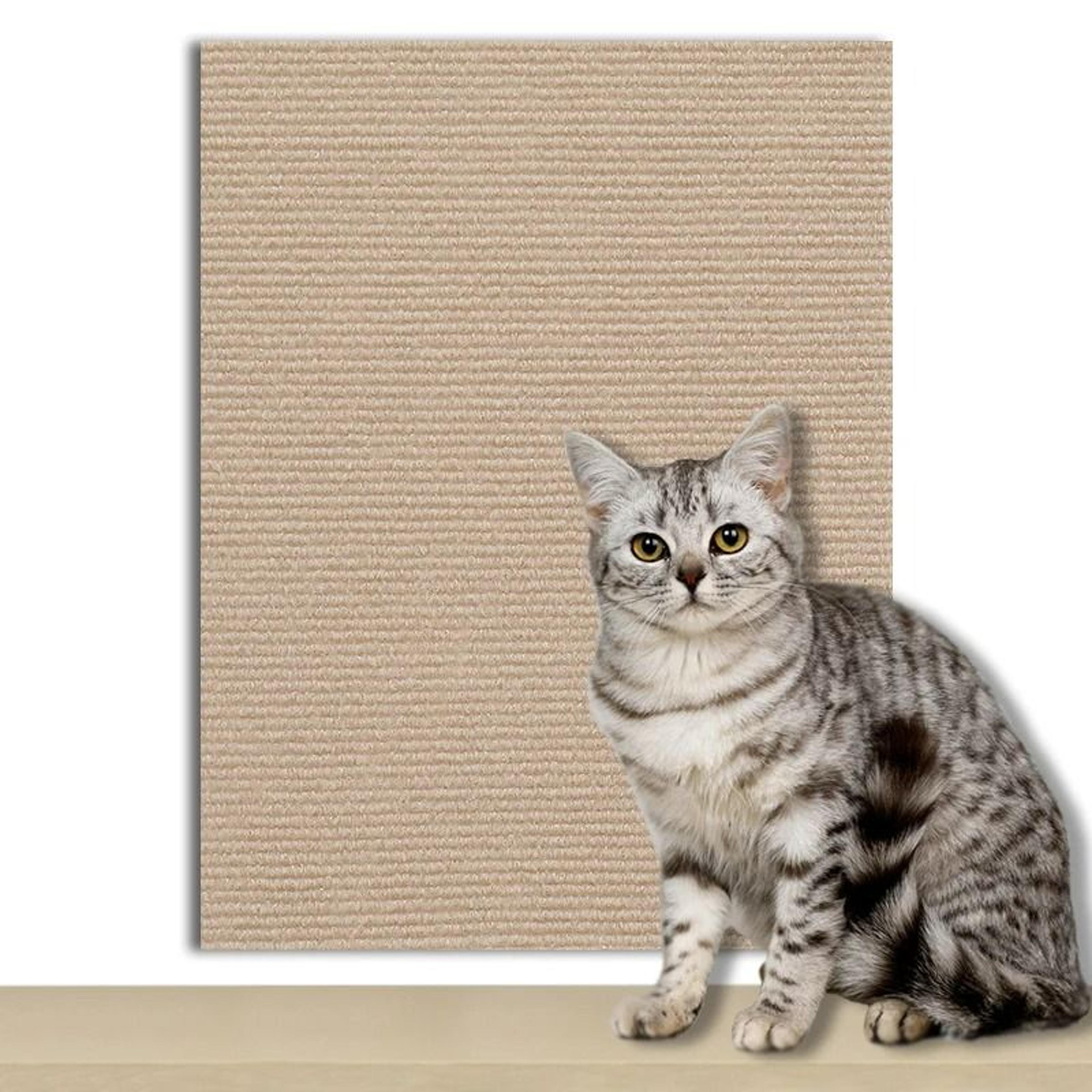 Trimmable SelfAdhesive Carpet Scratching Protector 10