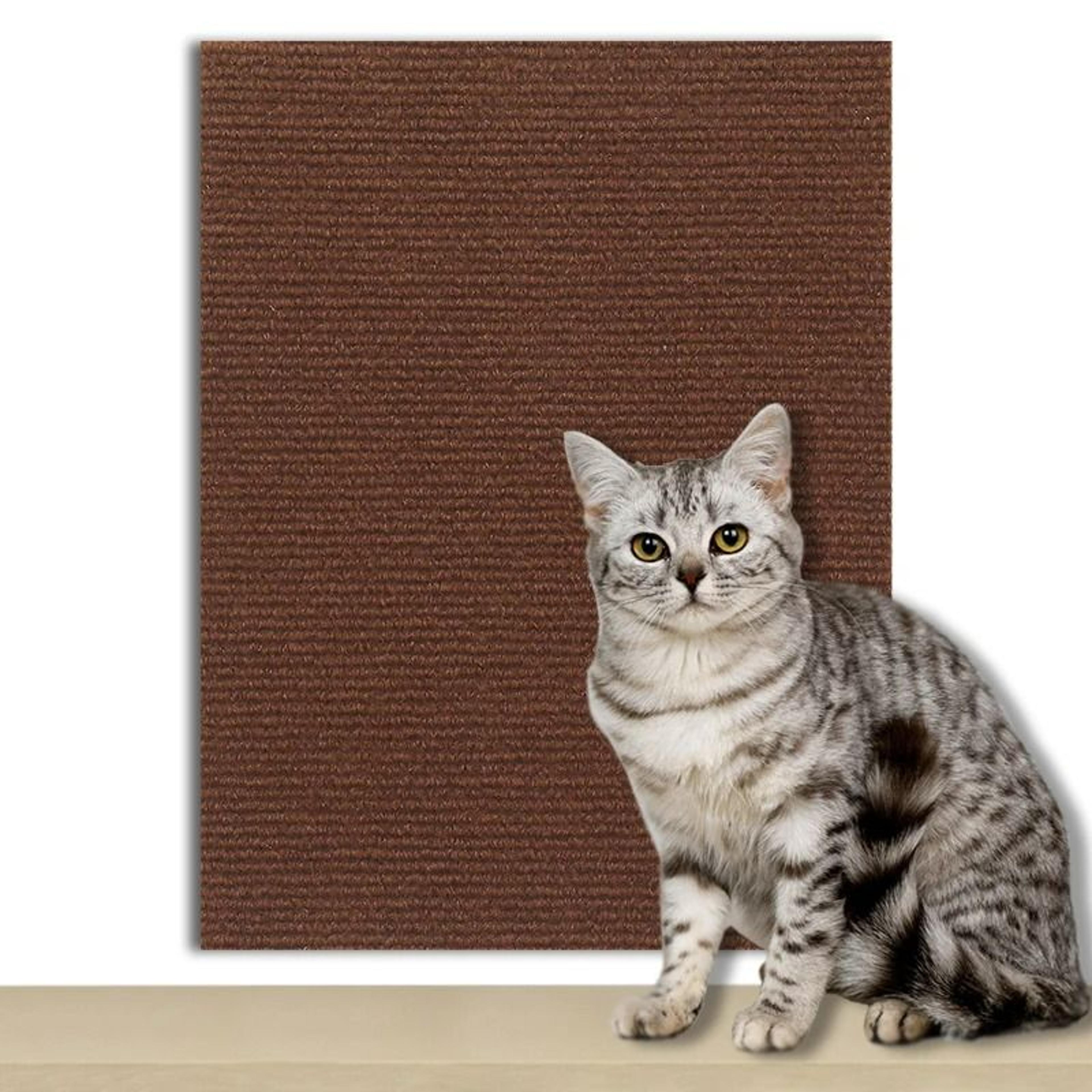 Trimmable SelfAdhesive Carpet Scratching Protector 13