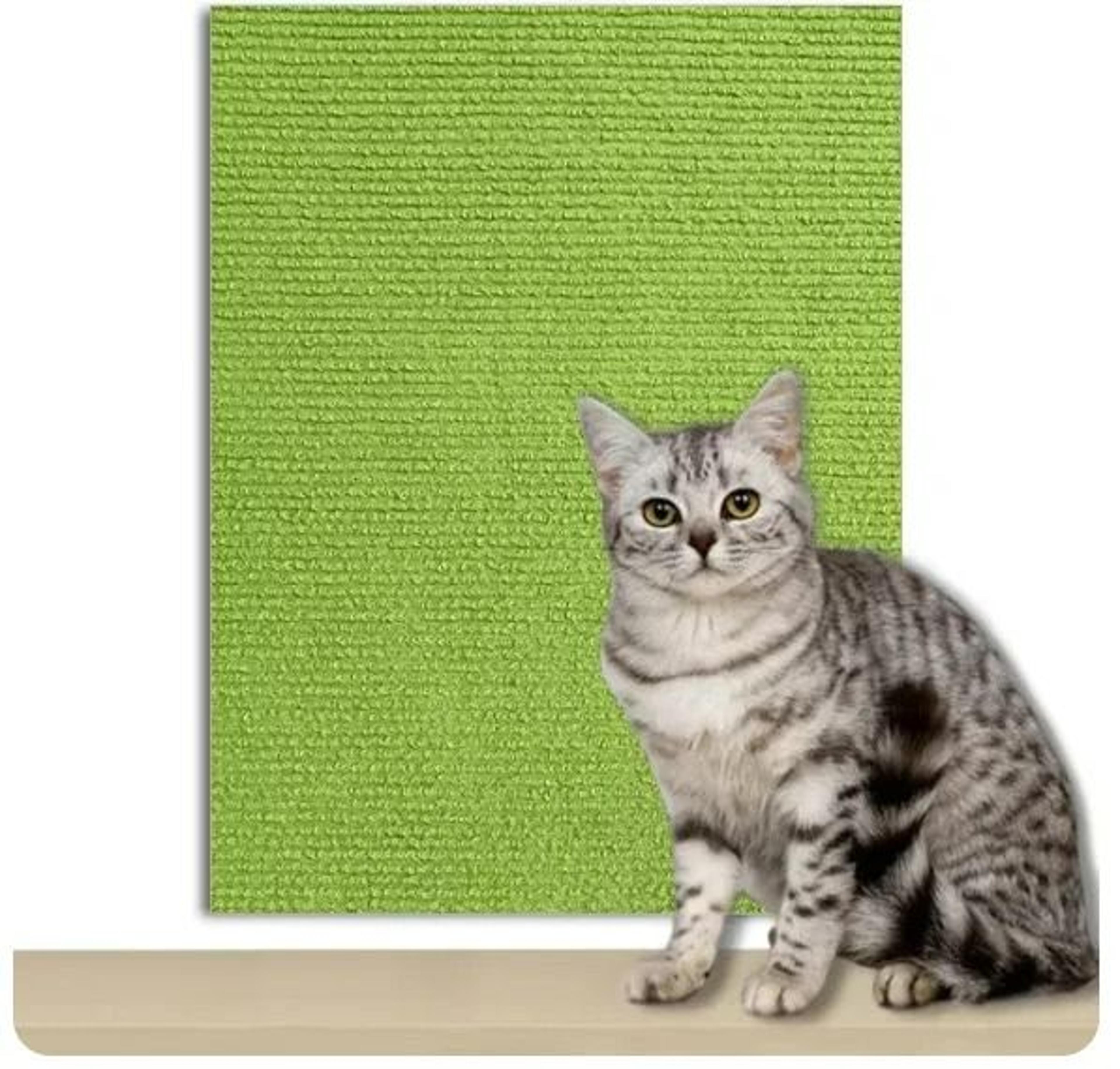 Trimmable SelfAdhesive Carpet Scratching Protector 7