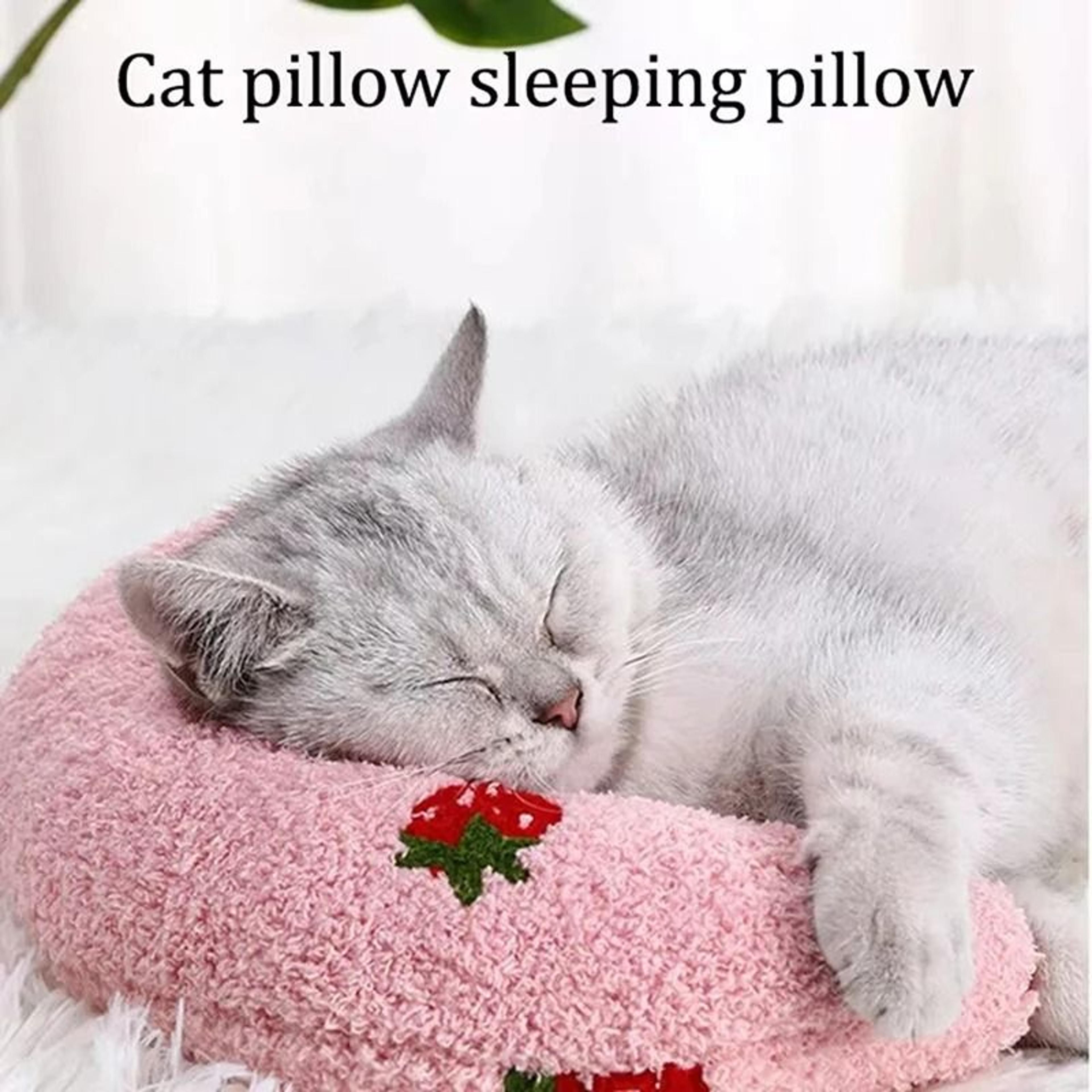 ultra-soft teddy velvet calming pet pillow
