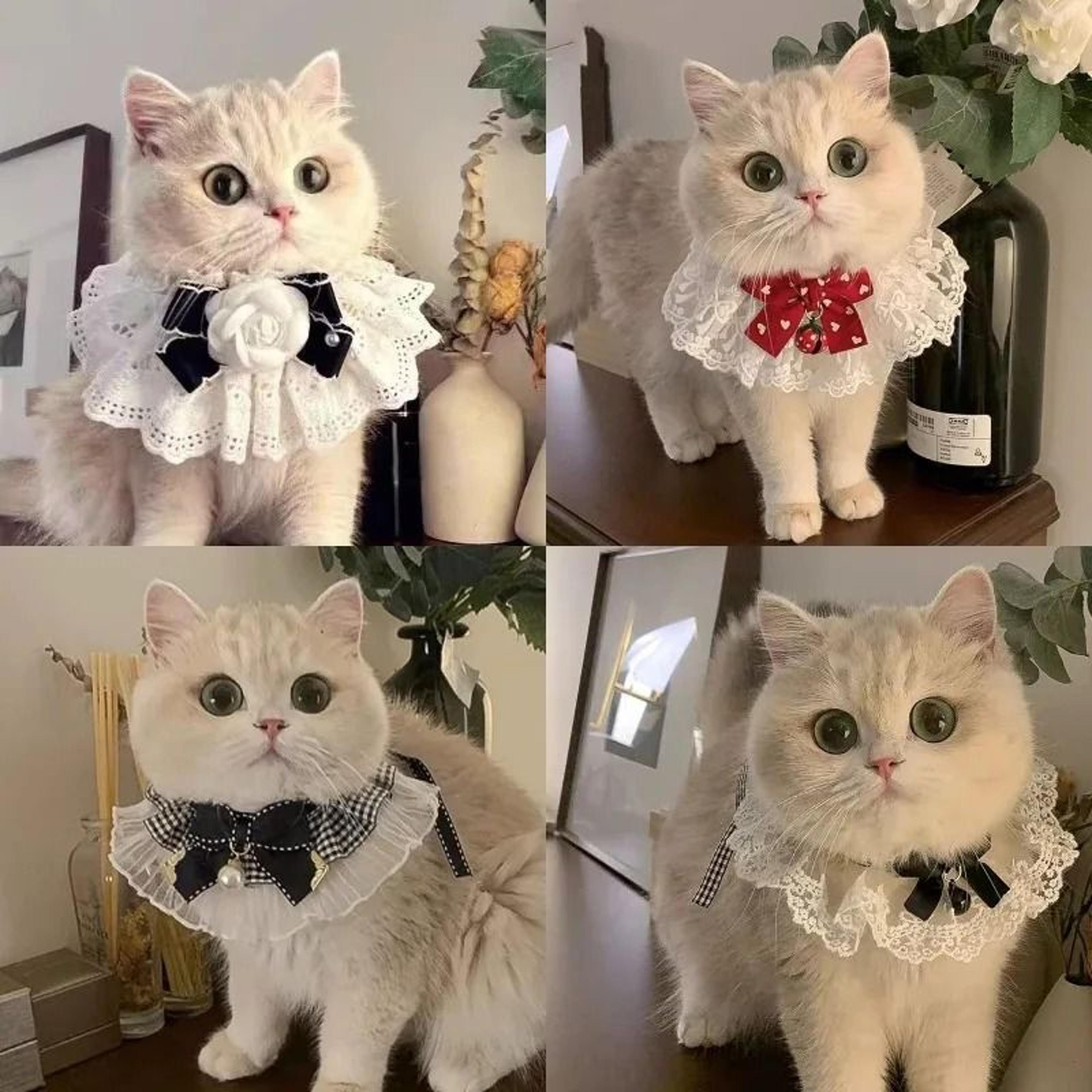 princess-style silk & lace wedding ribbon collar