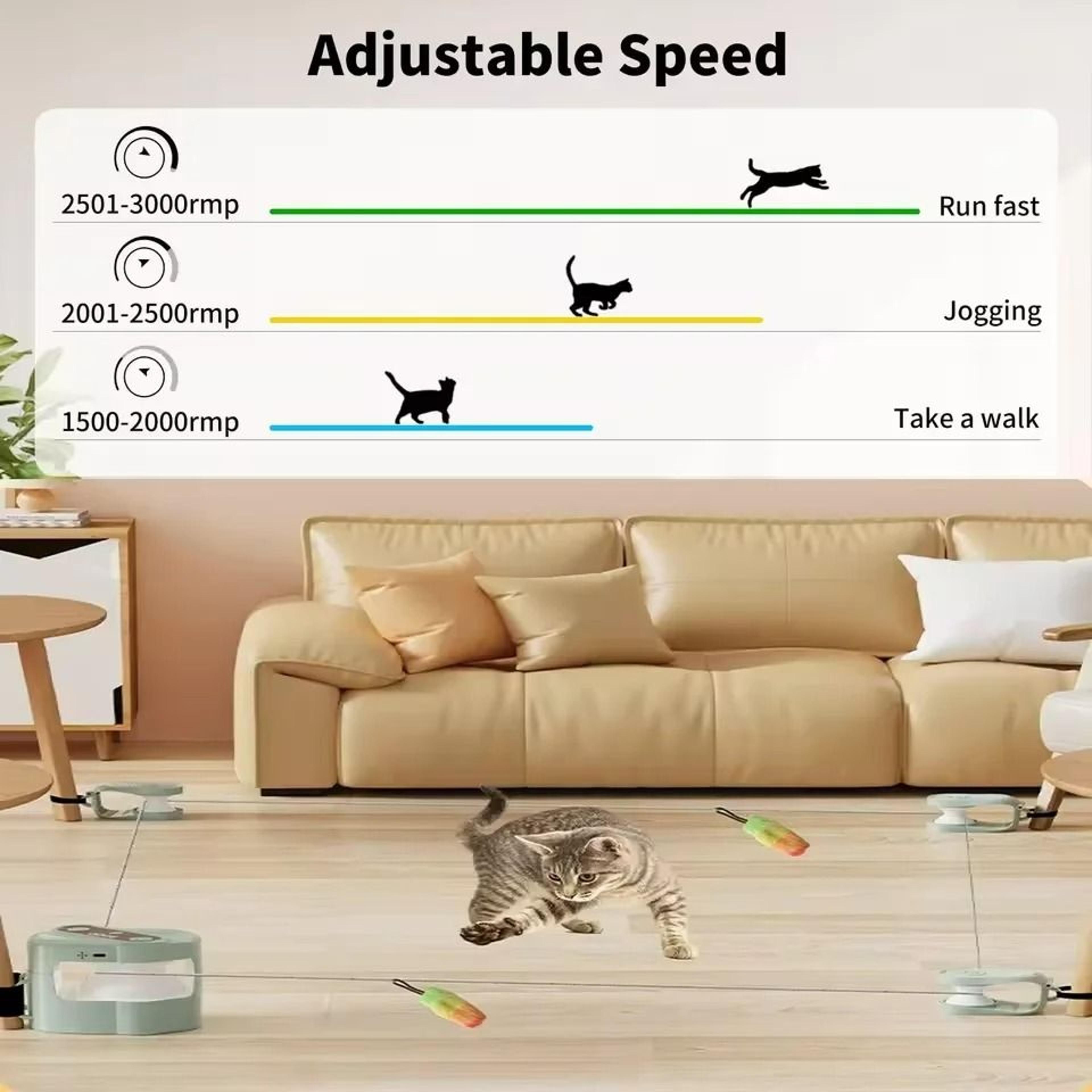 RemoteControlled Smart Cat Chaser With Bird Sounds  DIY Trajectory 3