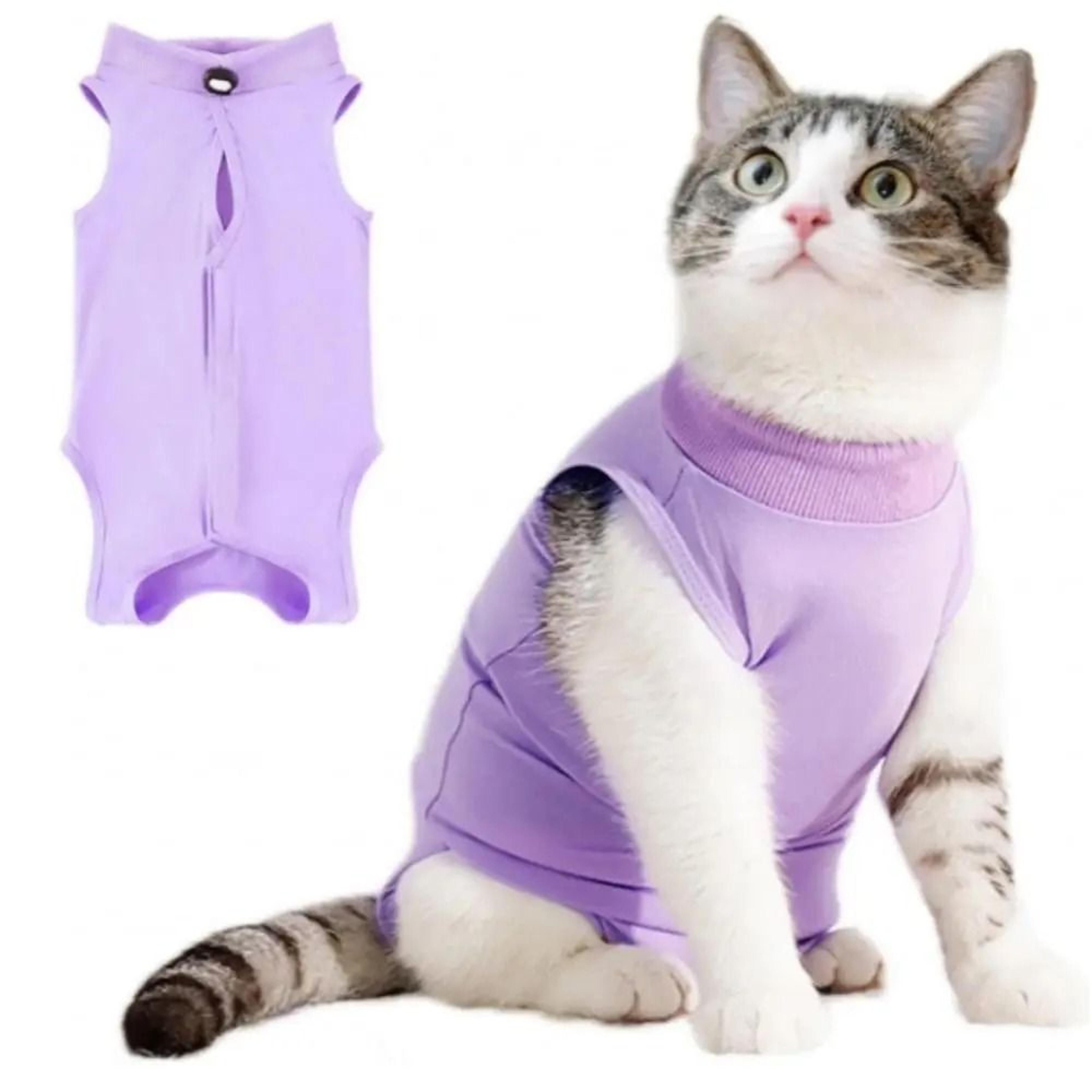 UltraSoft PostSurgery Recovery Suit For Feline Comfort  Healing 4