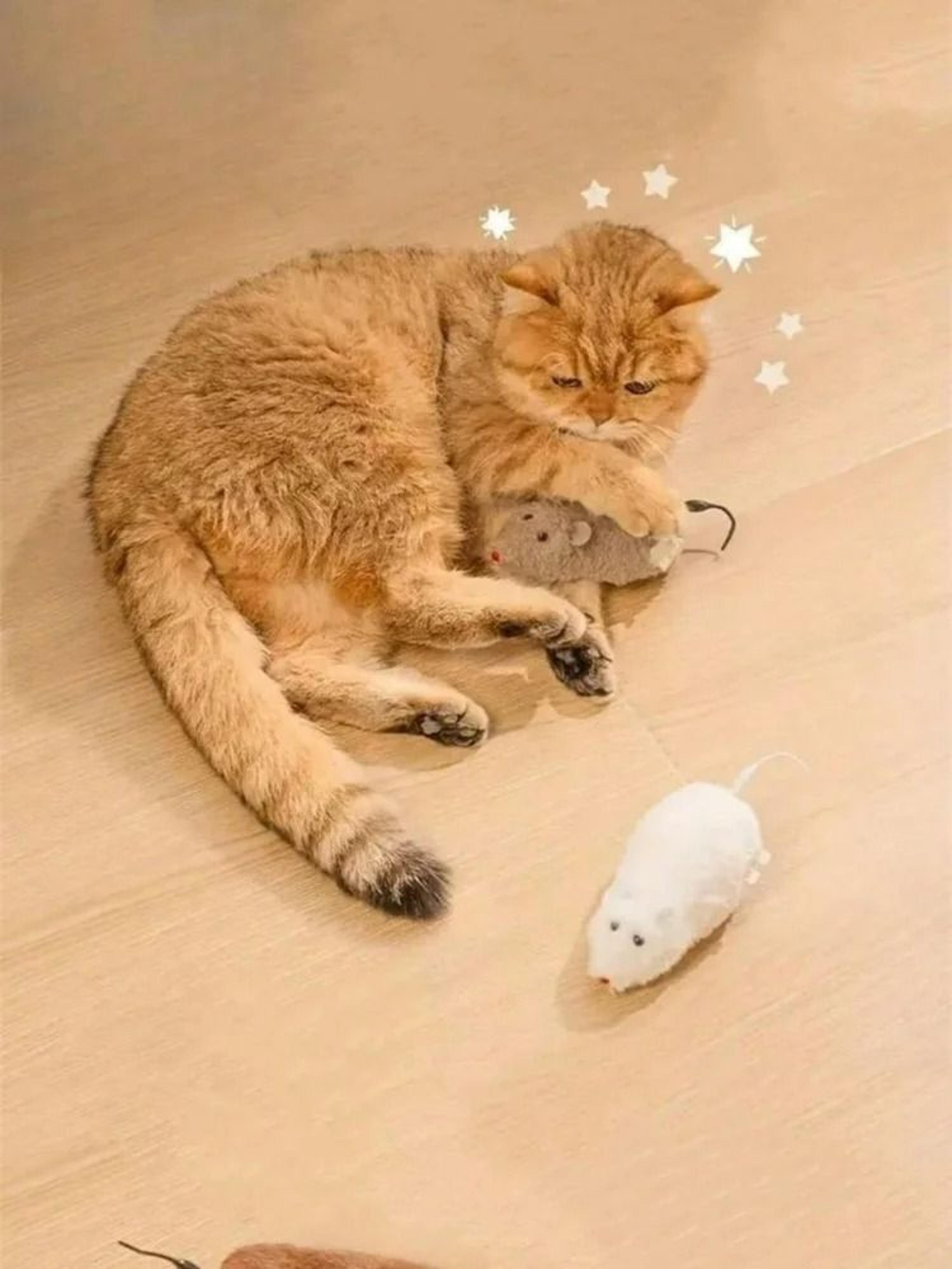 4Pack Mechanical WindUp Plush Mouse Toys 5
