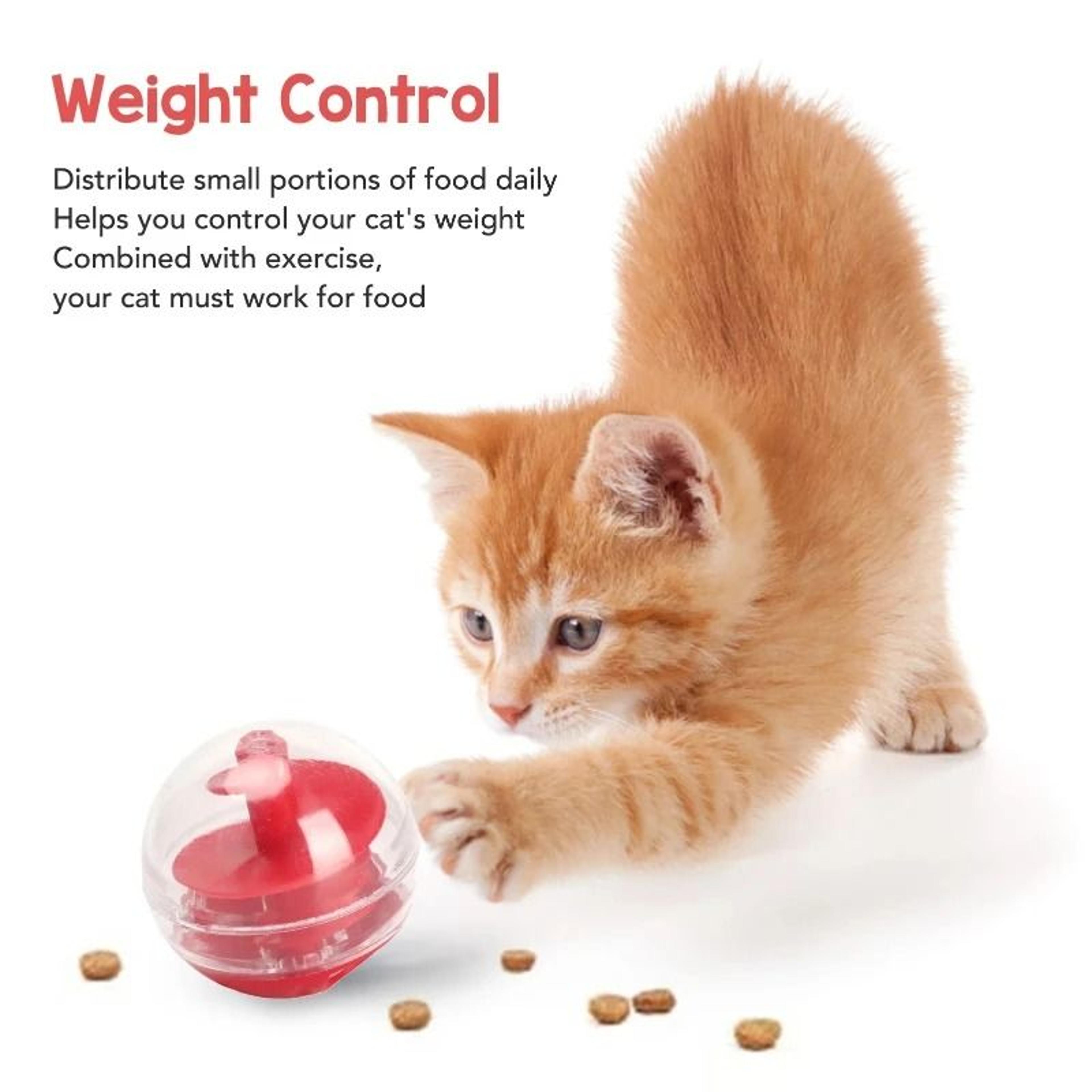 Interactive Cat Treat Dispensing Puzzle Ball 1