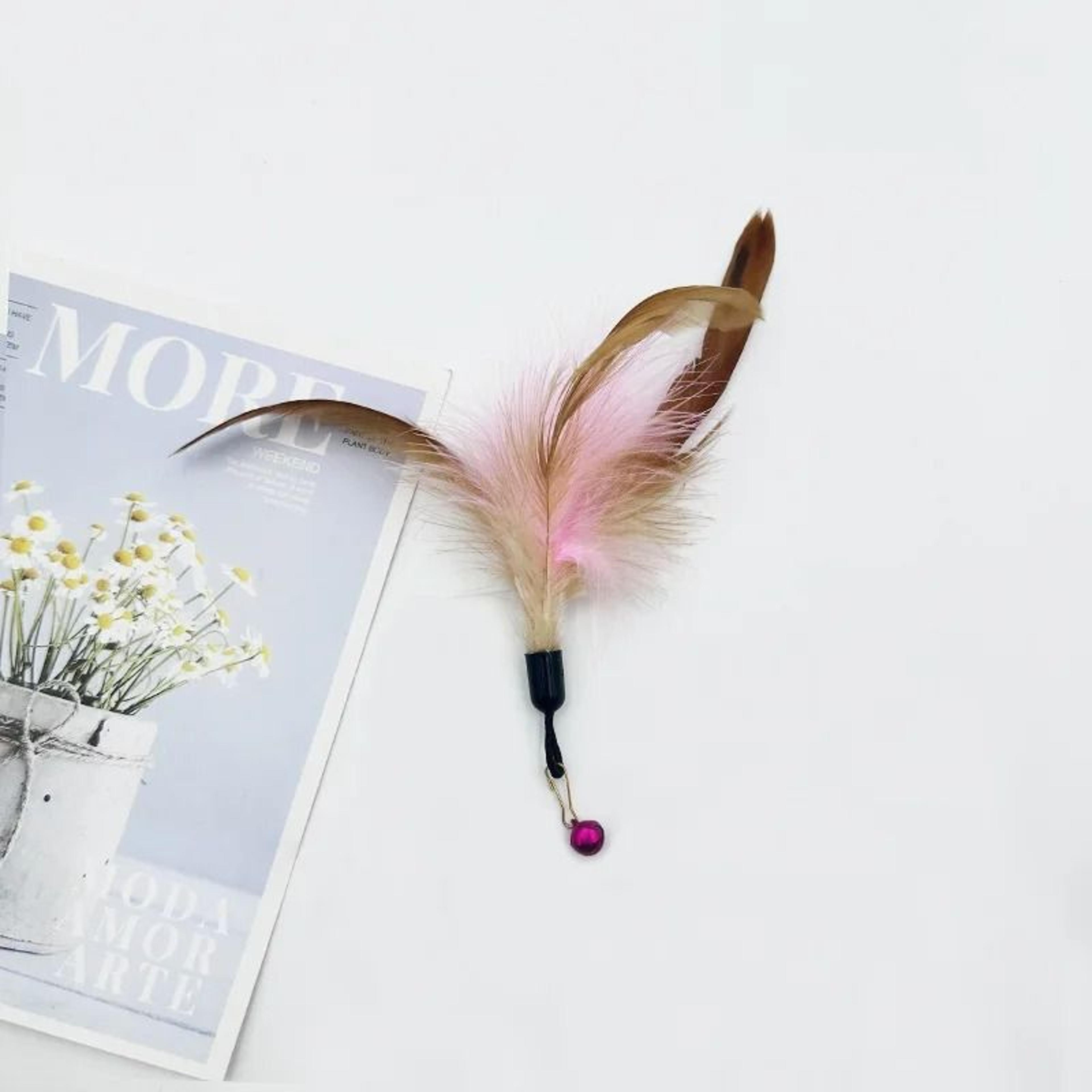 Interactive Plush Feather  Bell Teaser Refill Set 10Pack 3