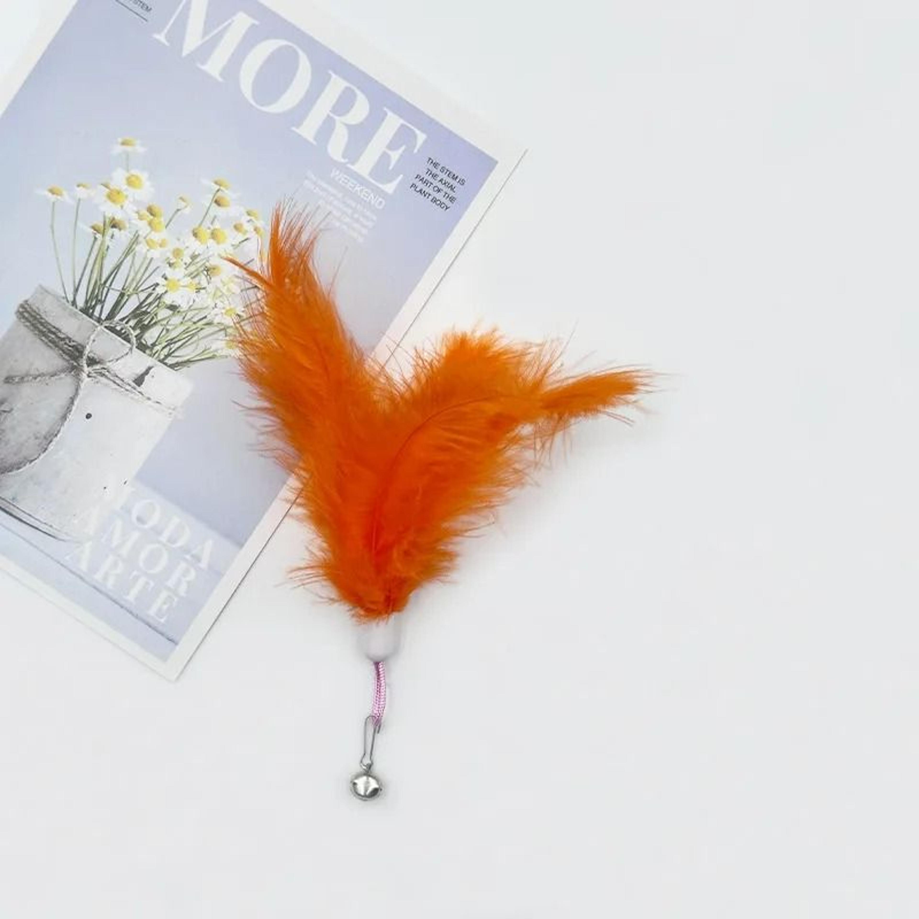 Interactive Plush Feather  Bell Teaser Refill Set 10Pack 4