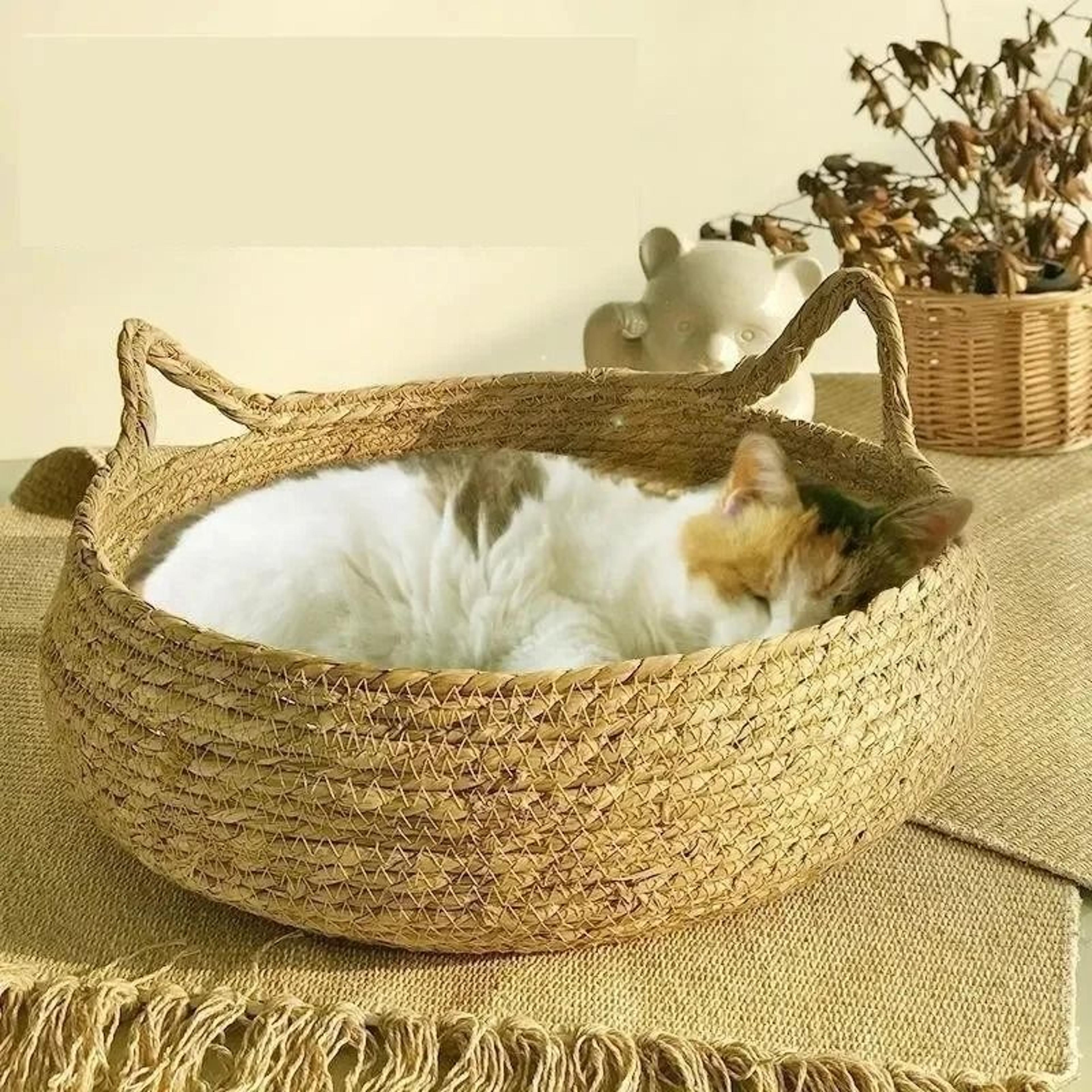 hand-woven cat-ear rattan nest & lounger