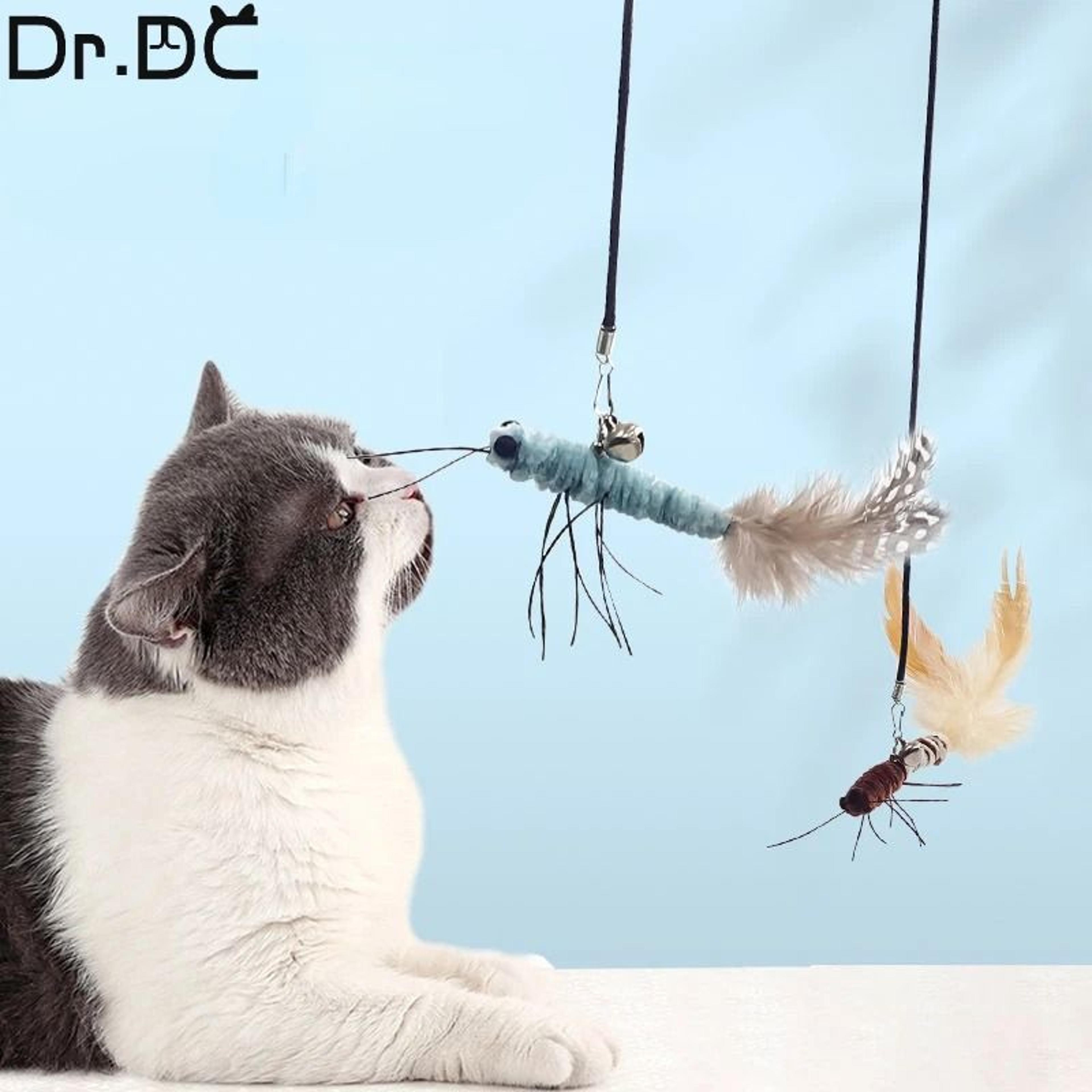 Interactive Dragonfly  Feather Replacement Teaser Heads 3