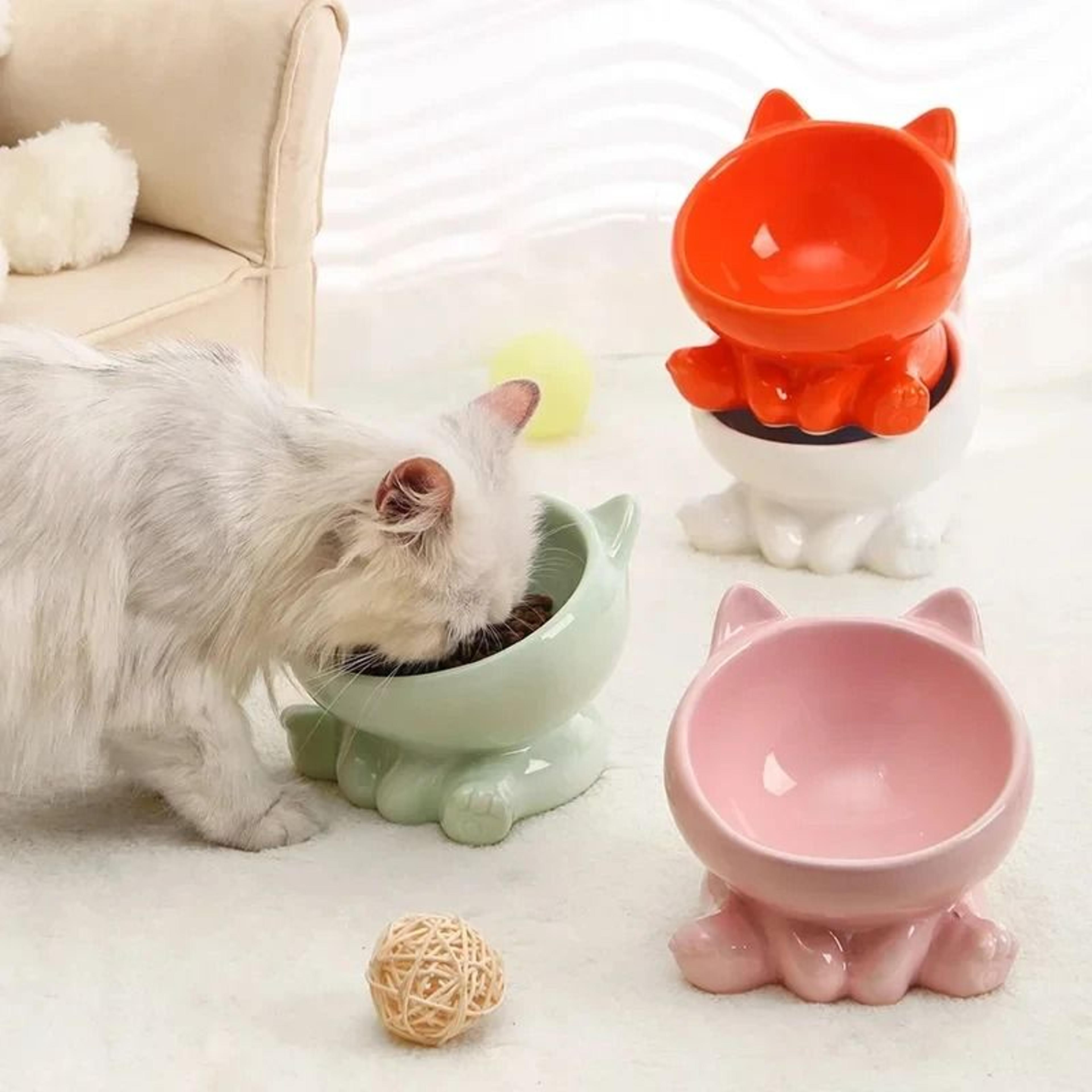 Ergonomic Elevated Ceramic Pet Dining Bowl 1